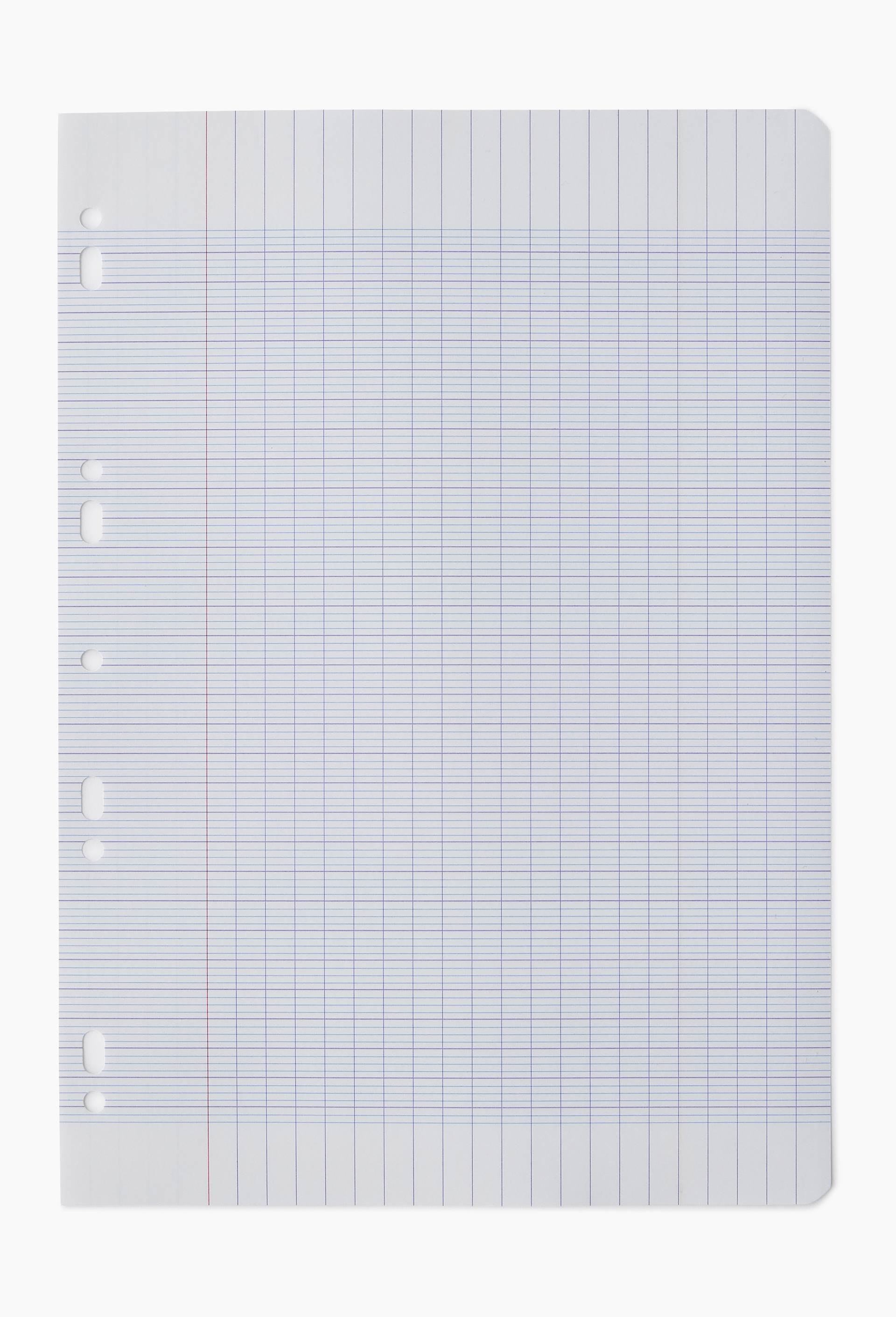 500 Feuilles mobiles perfor&eacute;es, 21 x 29,7, grands carreaux, , large image number 2