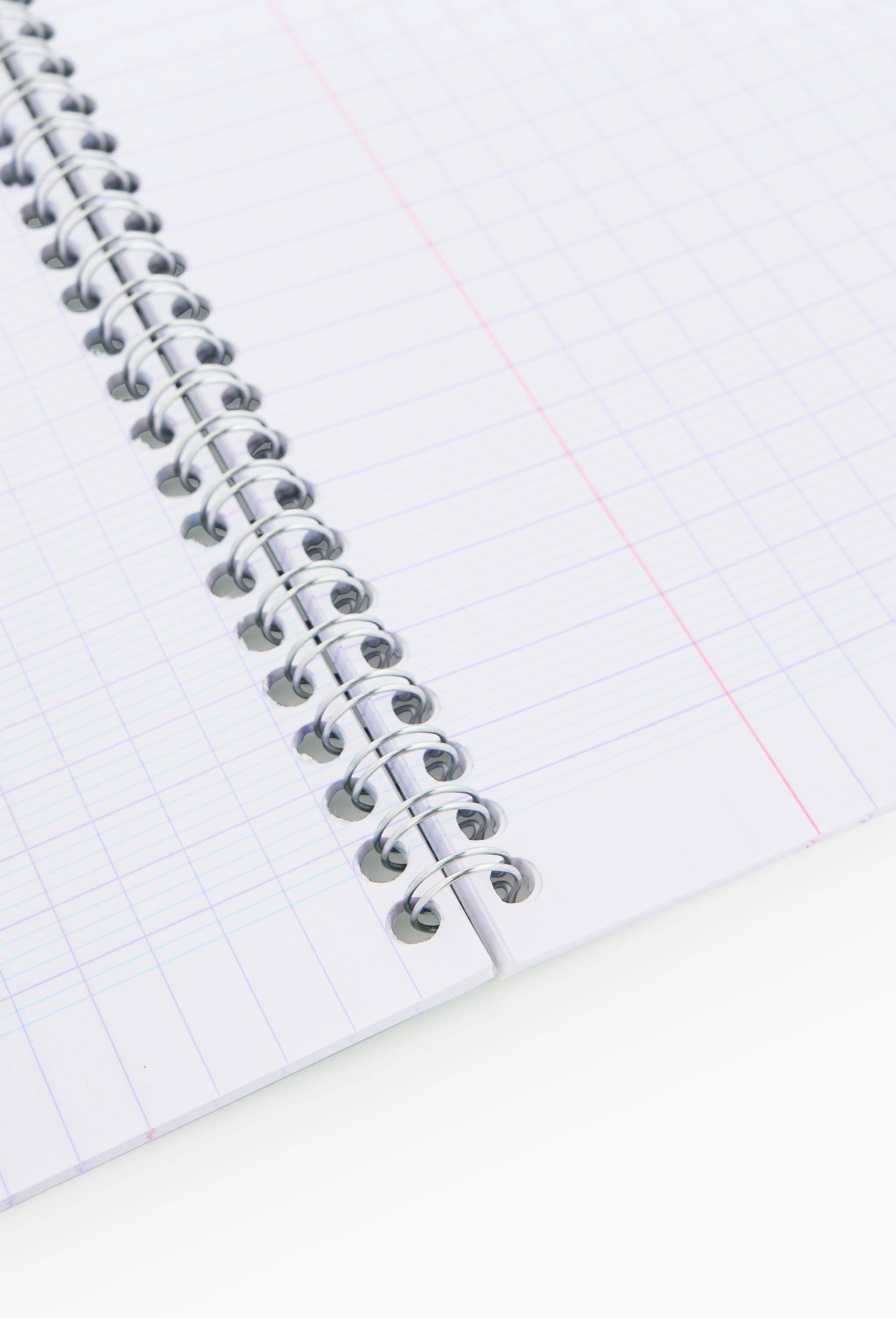 Cahier reliure intégrale,  17 x 22, grands carreaux, 100 pages, , large image number 1