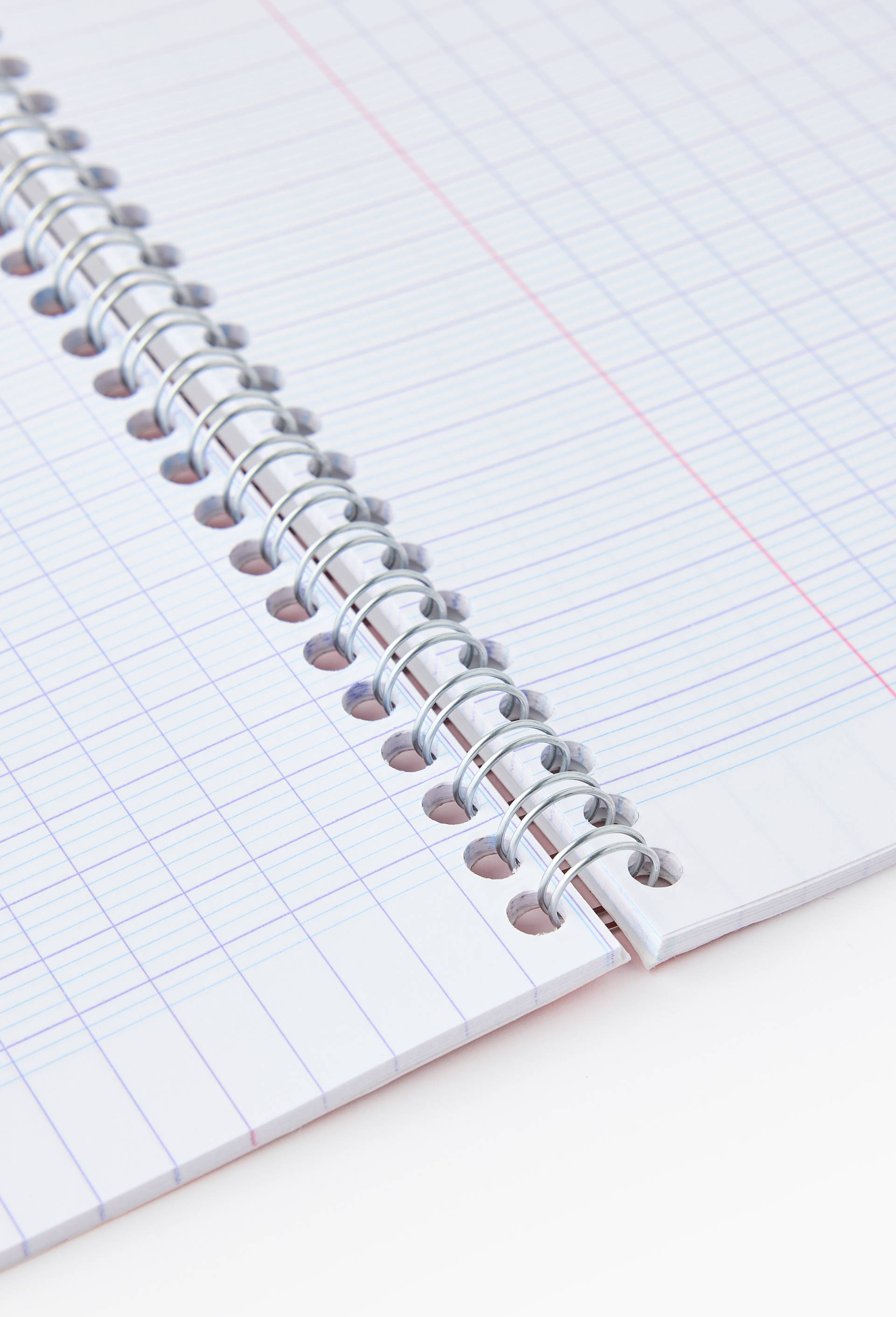 Cahier reliure int&eacute;grale,  17 x 22, grands carreaux, 100 pages, , large image number 1