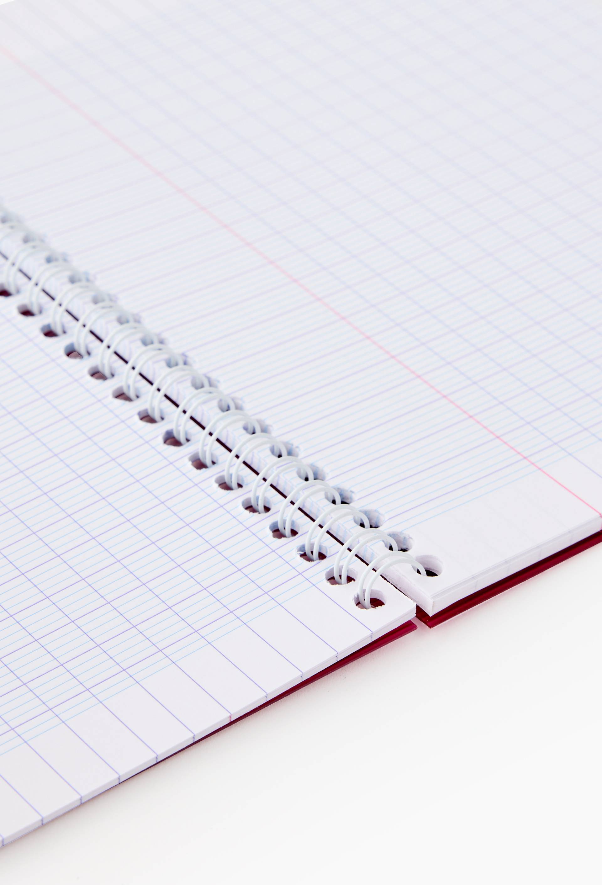 Cahier 17x22cm, grands carreaux, 100 pages, couverture plastique, , large image number 1