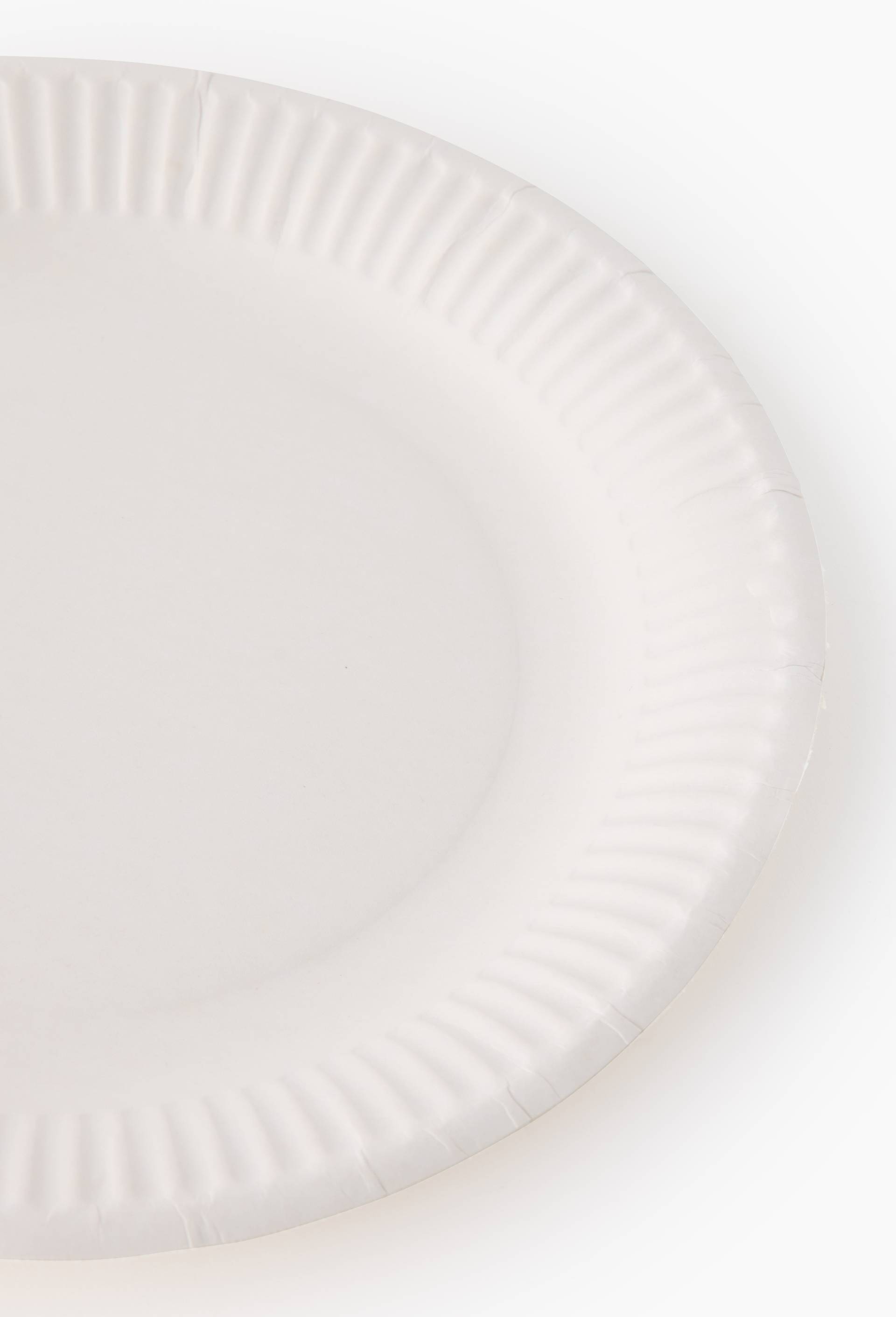 100 assiettes en carton 23cm, , large image number 1