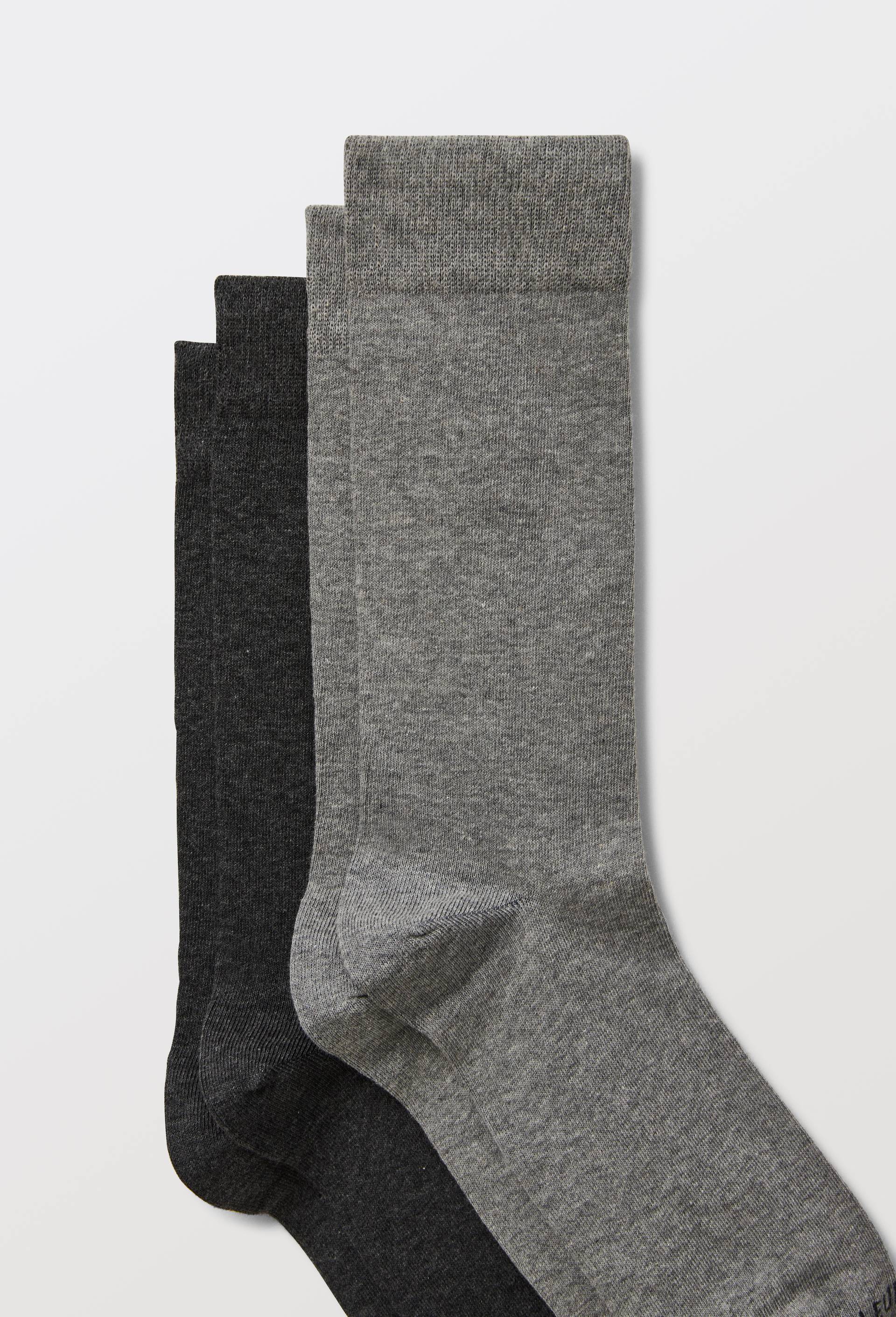 Lot de 2 paires de chaussettes en coton Bleufor&ecirc;t, Gris, large image number 1