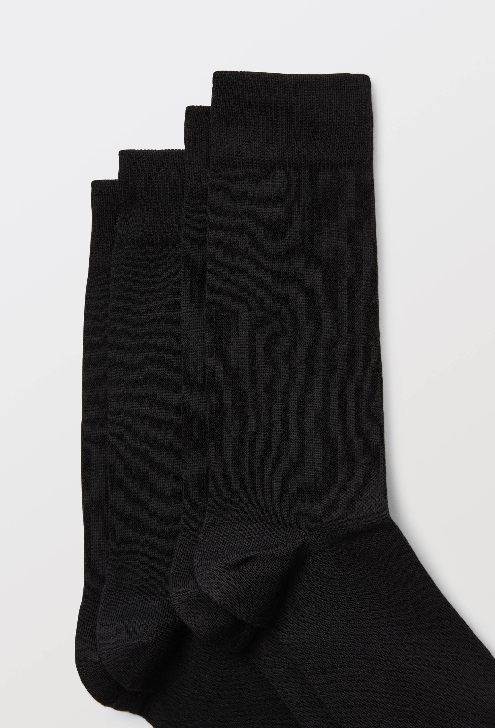 Lot de 2 paires de chaussettes en coton Bleufor&ecirc;t, Noir, large image number 1.0
