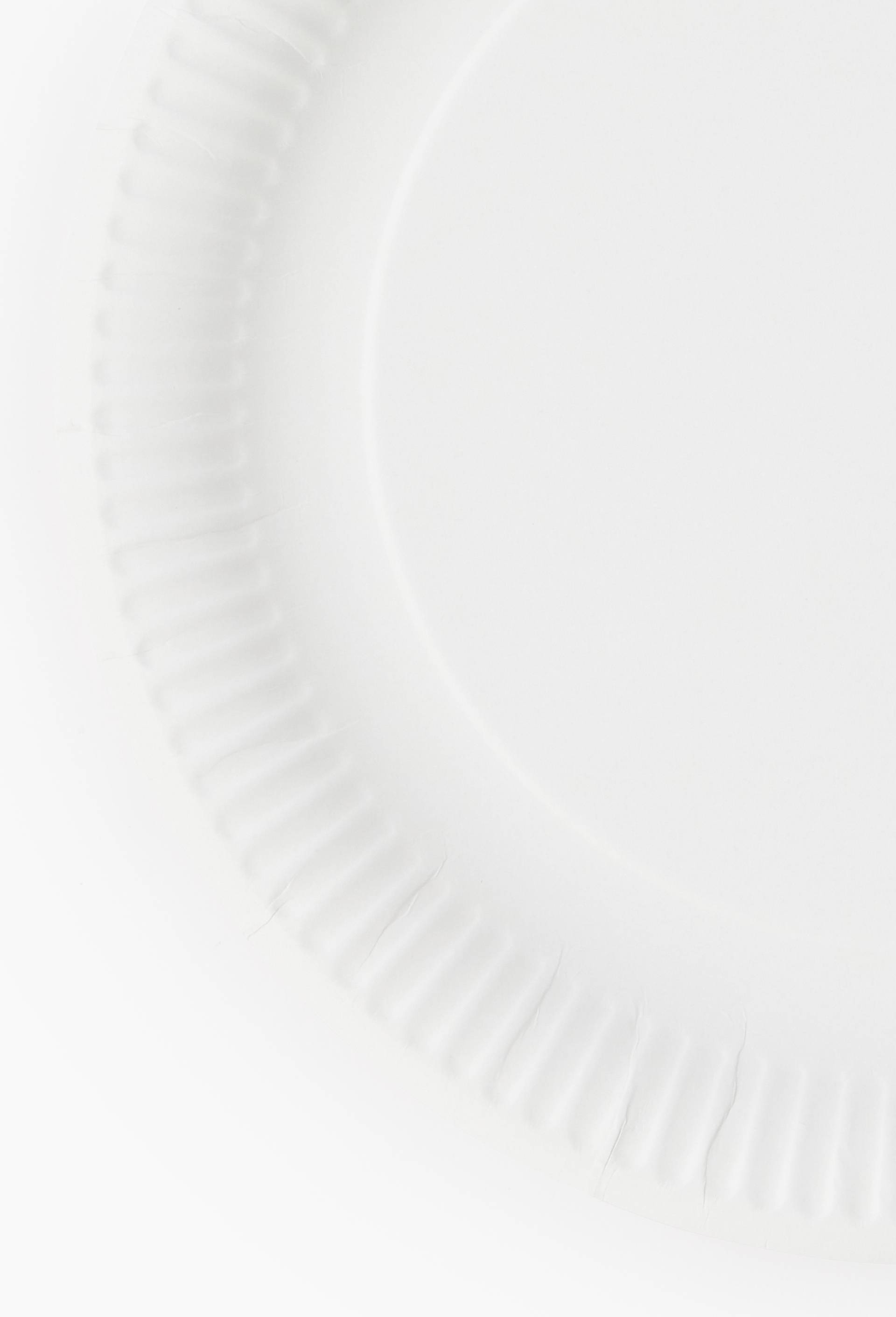 12 assiettes en carton, blanc, 29cm, , large image number 1