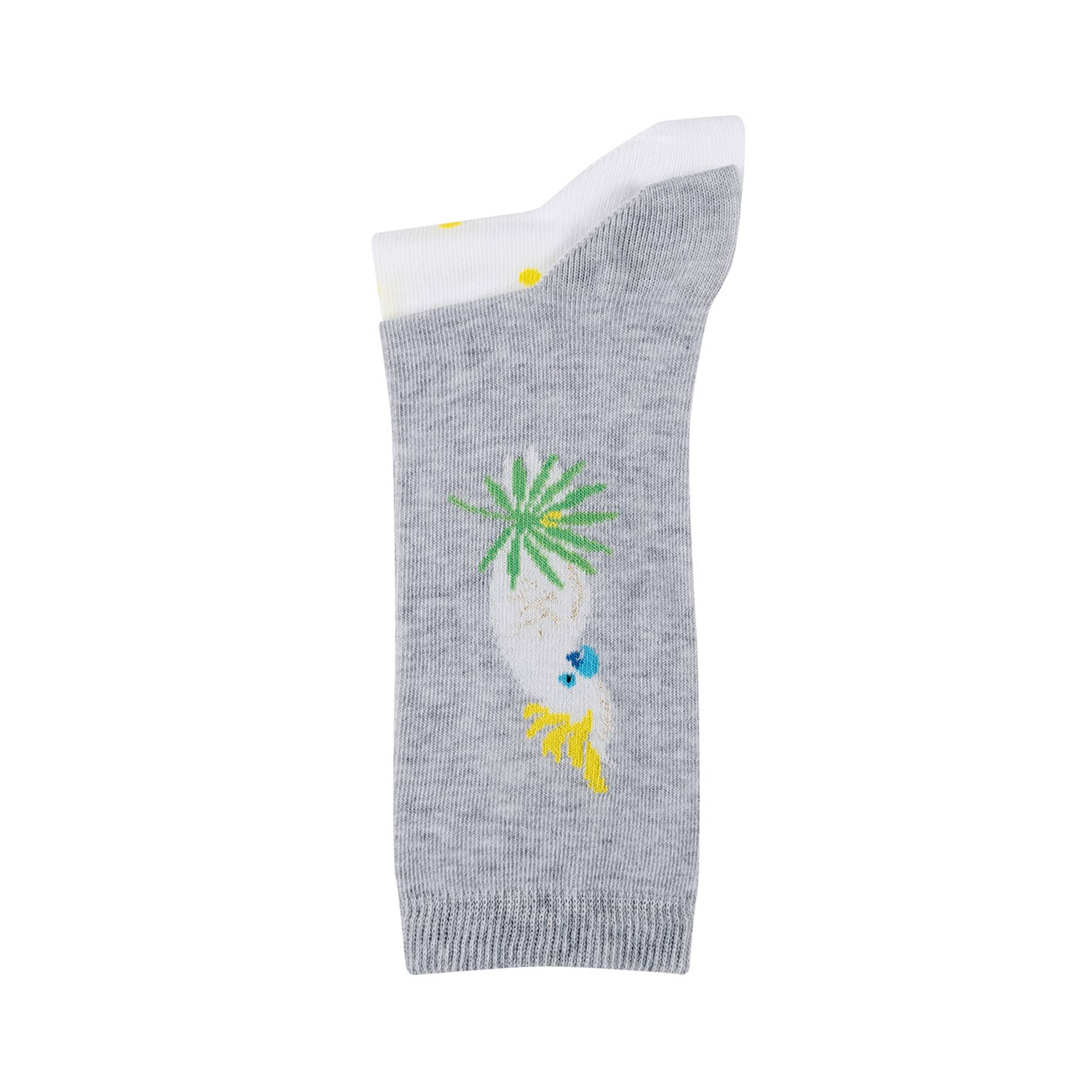 Duo chaussettes cacatoès, Gris, large image number 1