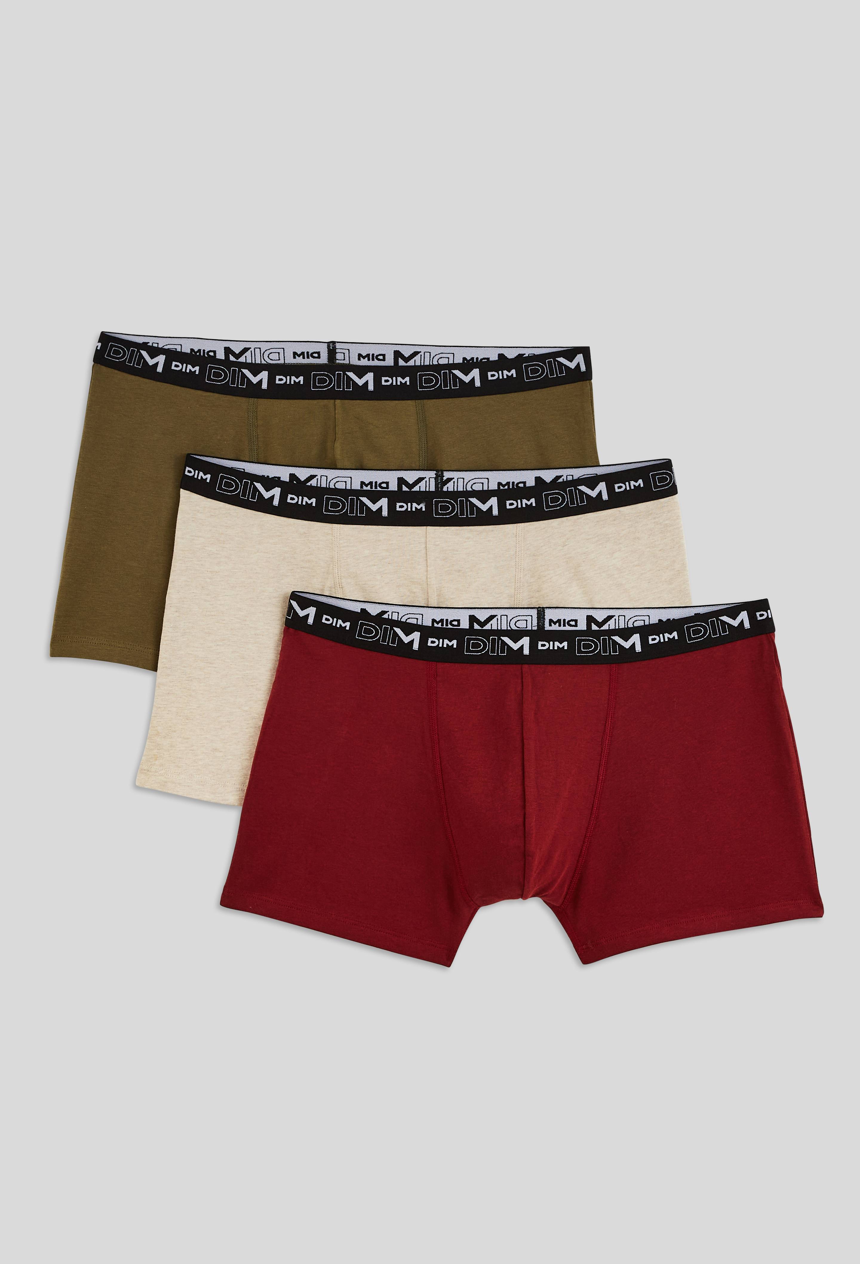 Lot de 3 boxers en coton MULTIPACK DIM, Brun clair, large image number 0