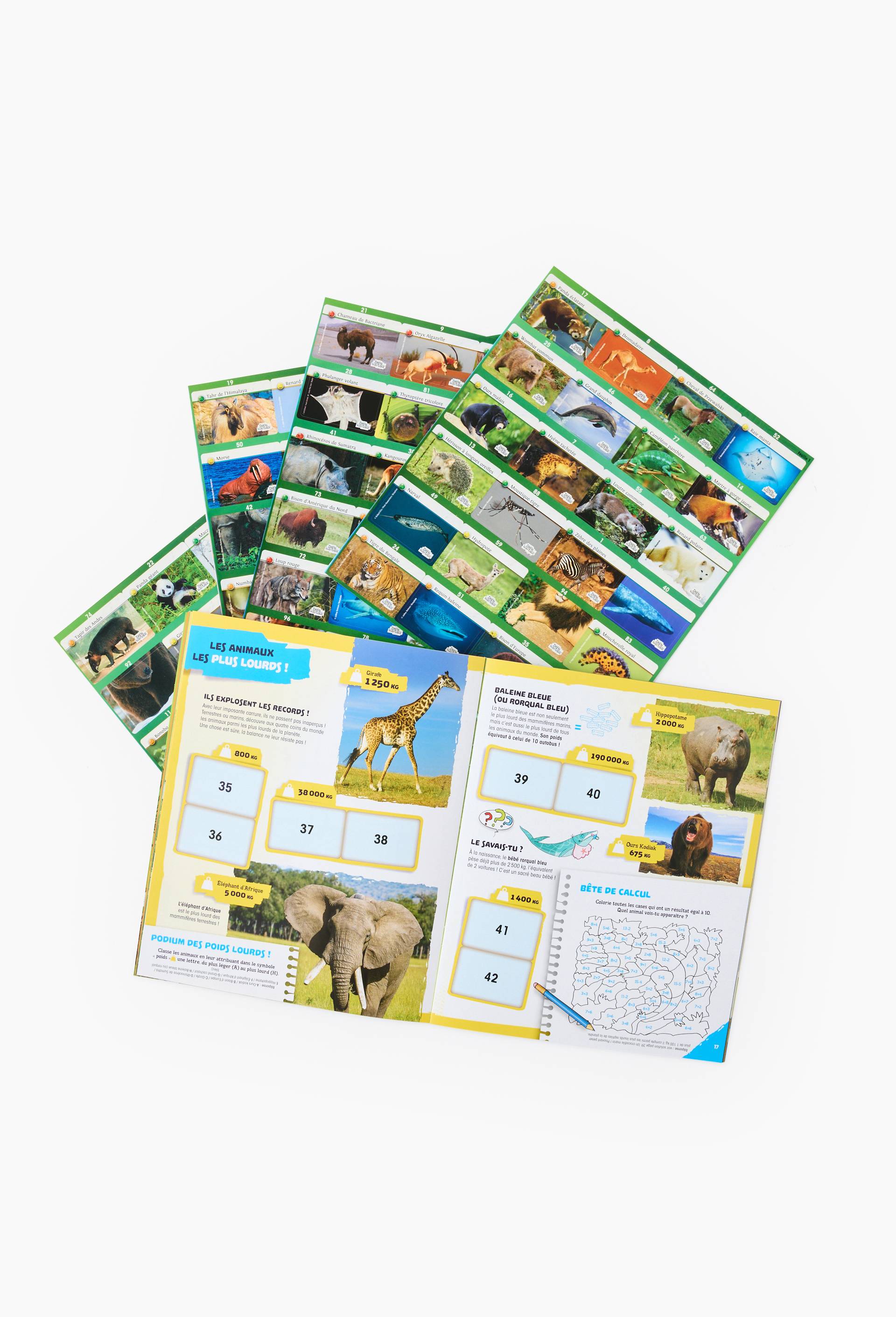 Pack album + 96 autocollants les animaux du monde, , large image number 1.0