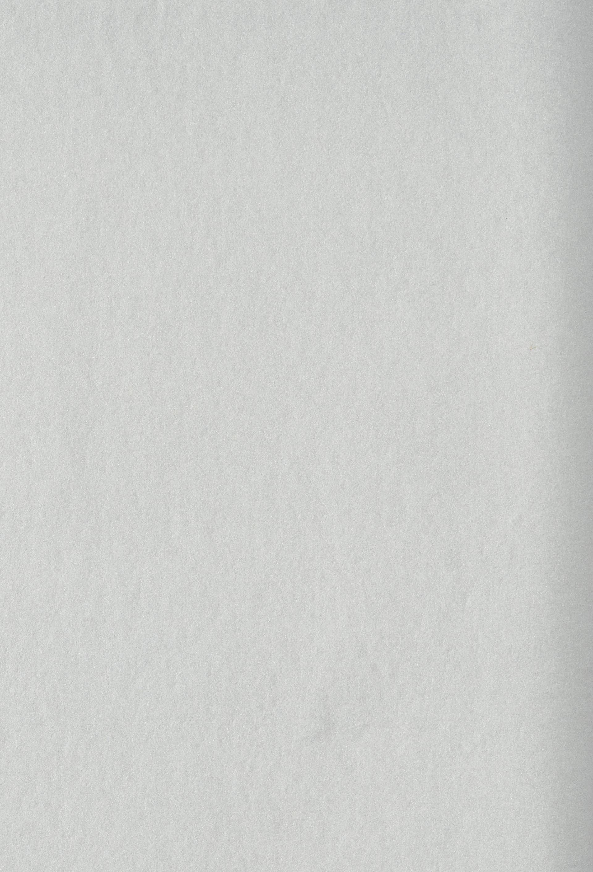 Nappe uni argent&eacute;e 160*240cm, Argent, large image number 1