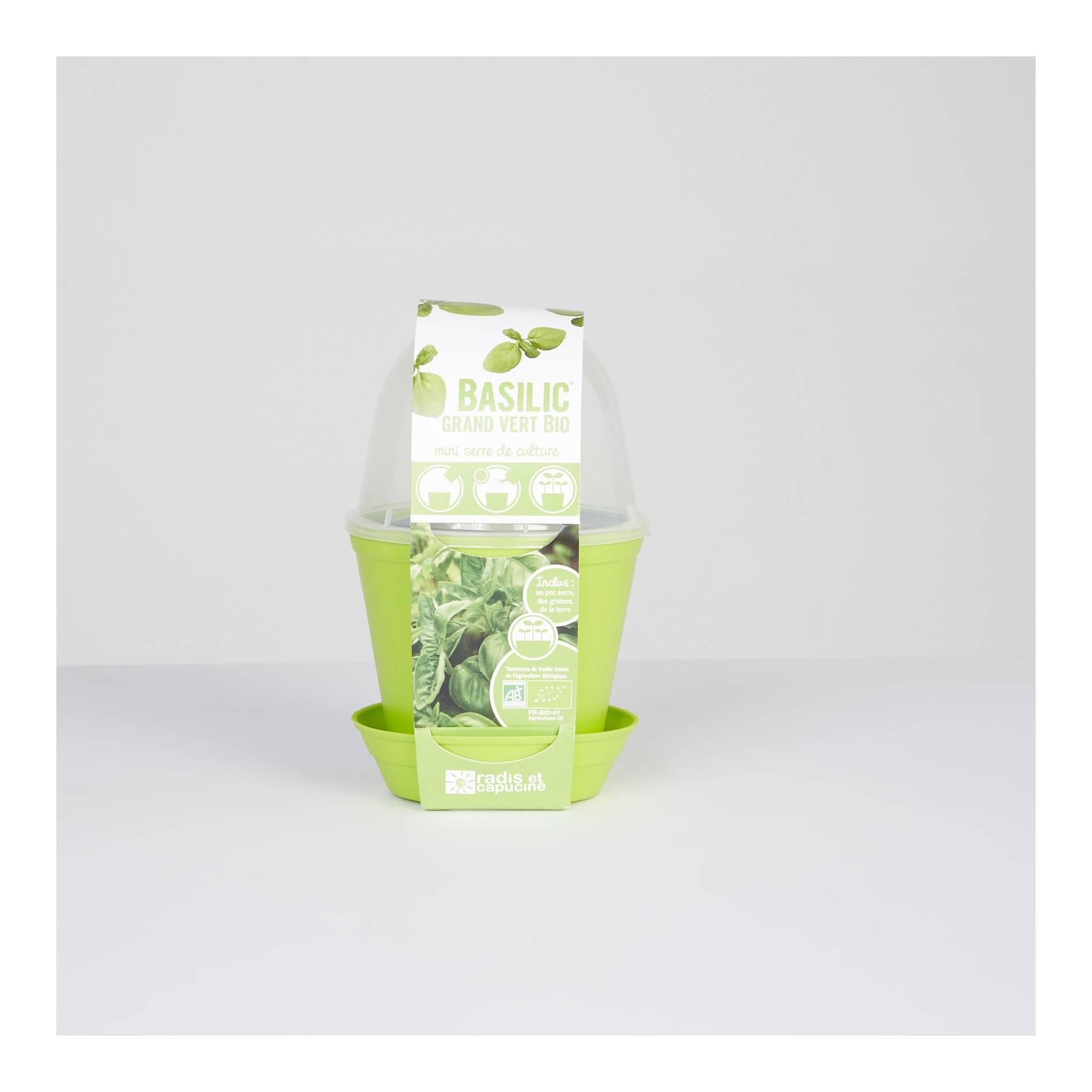 Basilic, dans pot avec cloche, Vert clair, large image number 0