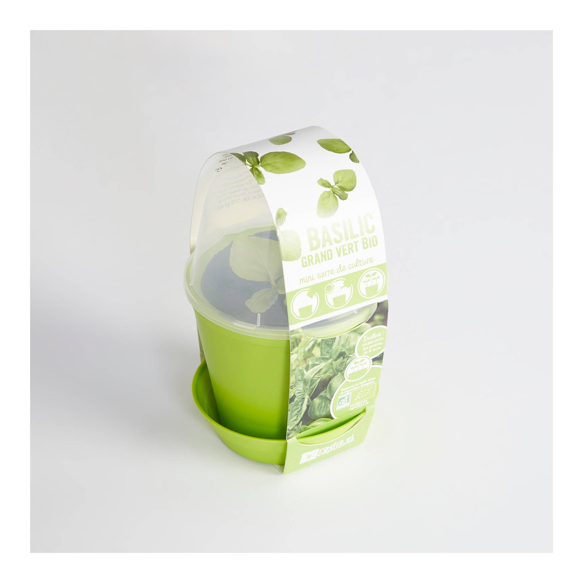 Basilic, dans pot avec cloche, Vert clair, large image number 1