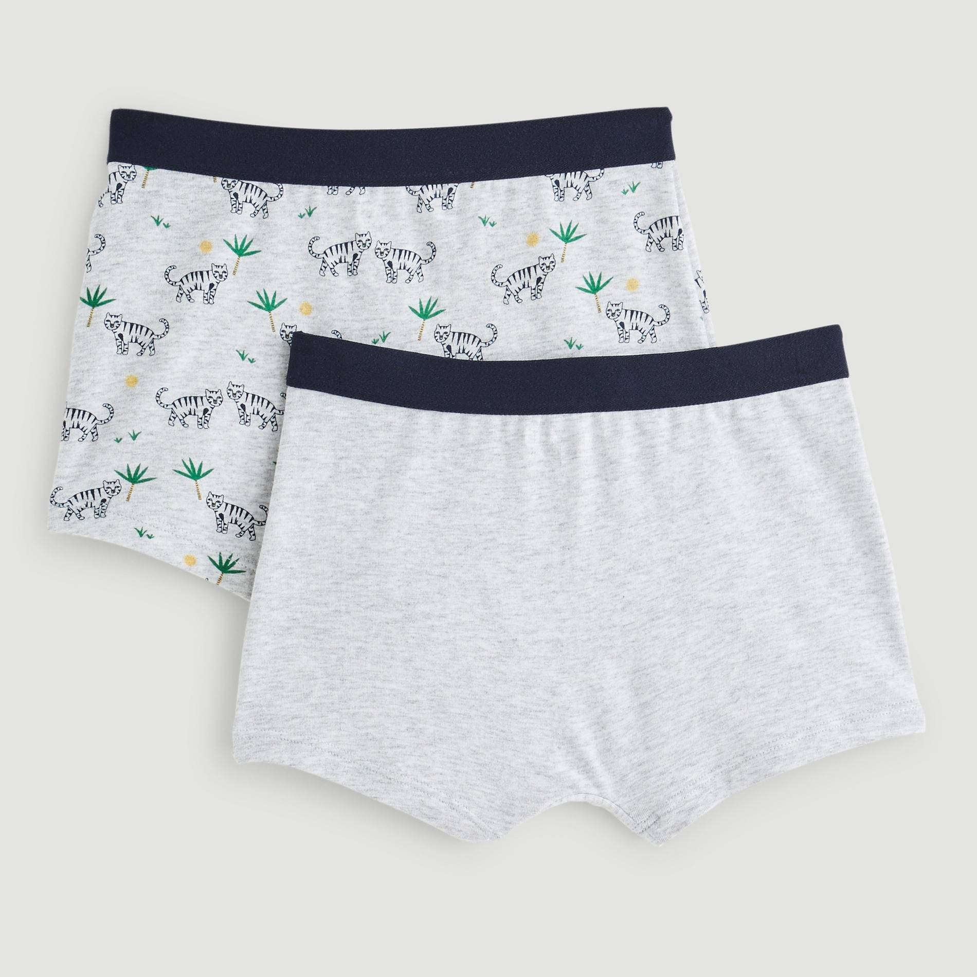 Lot de 2 boxers imprimés, Gris moyen, large image number 1.0
