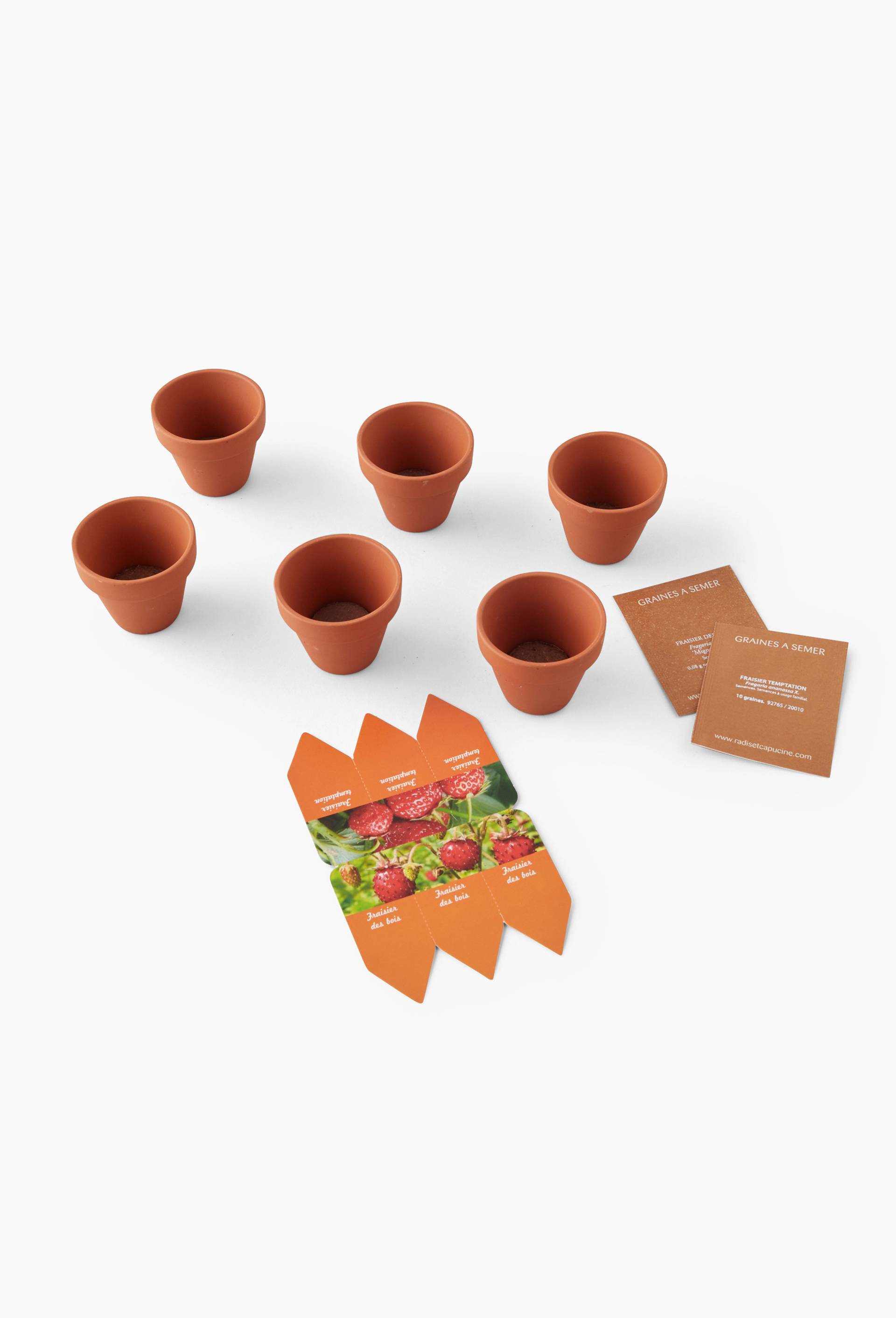 Lot de 6 pots de pr&ecirc;t &agrave; pousser de fraises, en terre cuite, BIO, Vert fonc&eacute;, large image number 0
