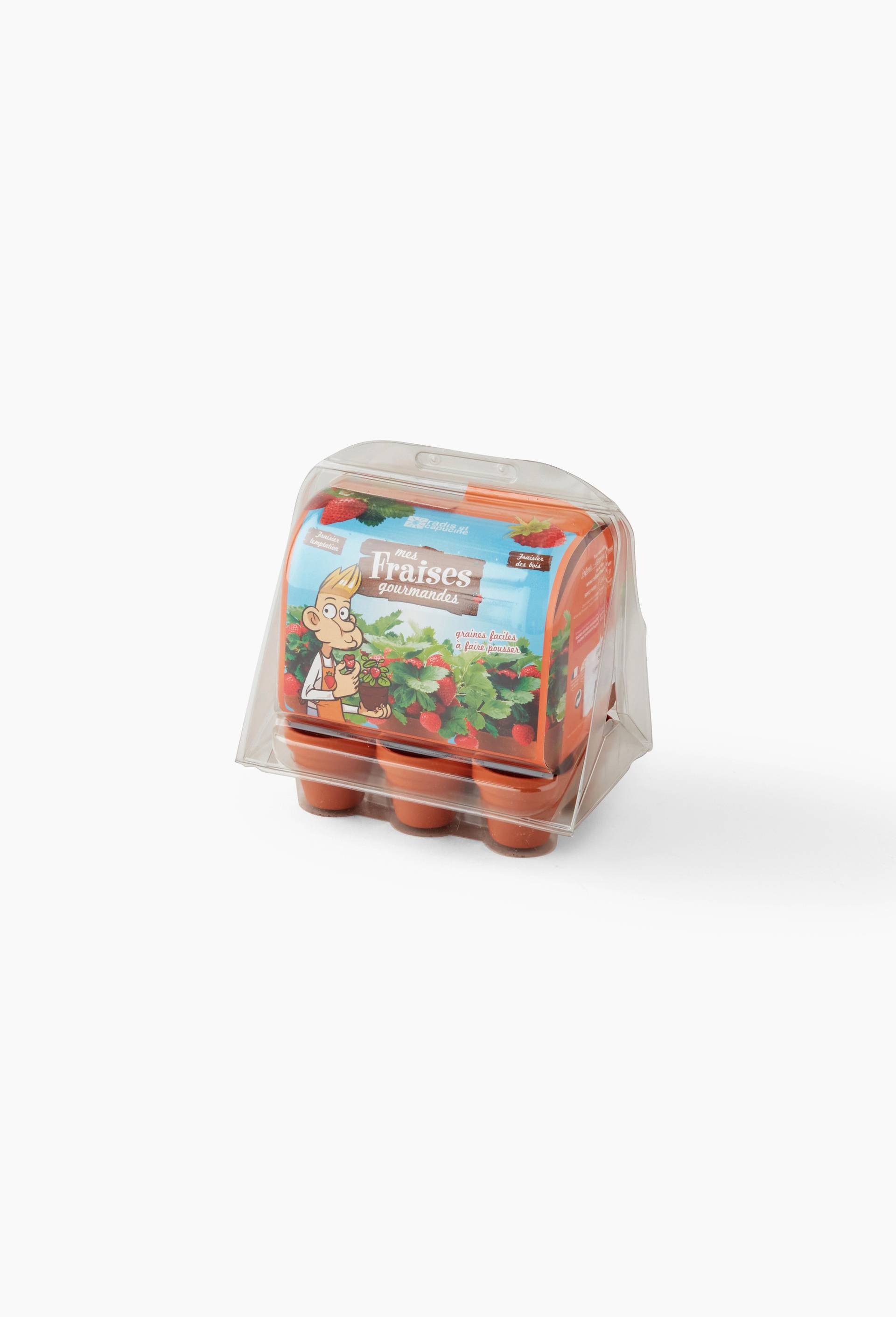 Lot de 6 pots de pr&ecirc;t &agrave; pousser de fraises, en terre cuite, BIO, Vert fonc&eacute;, large image number 1
