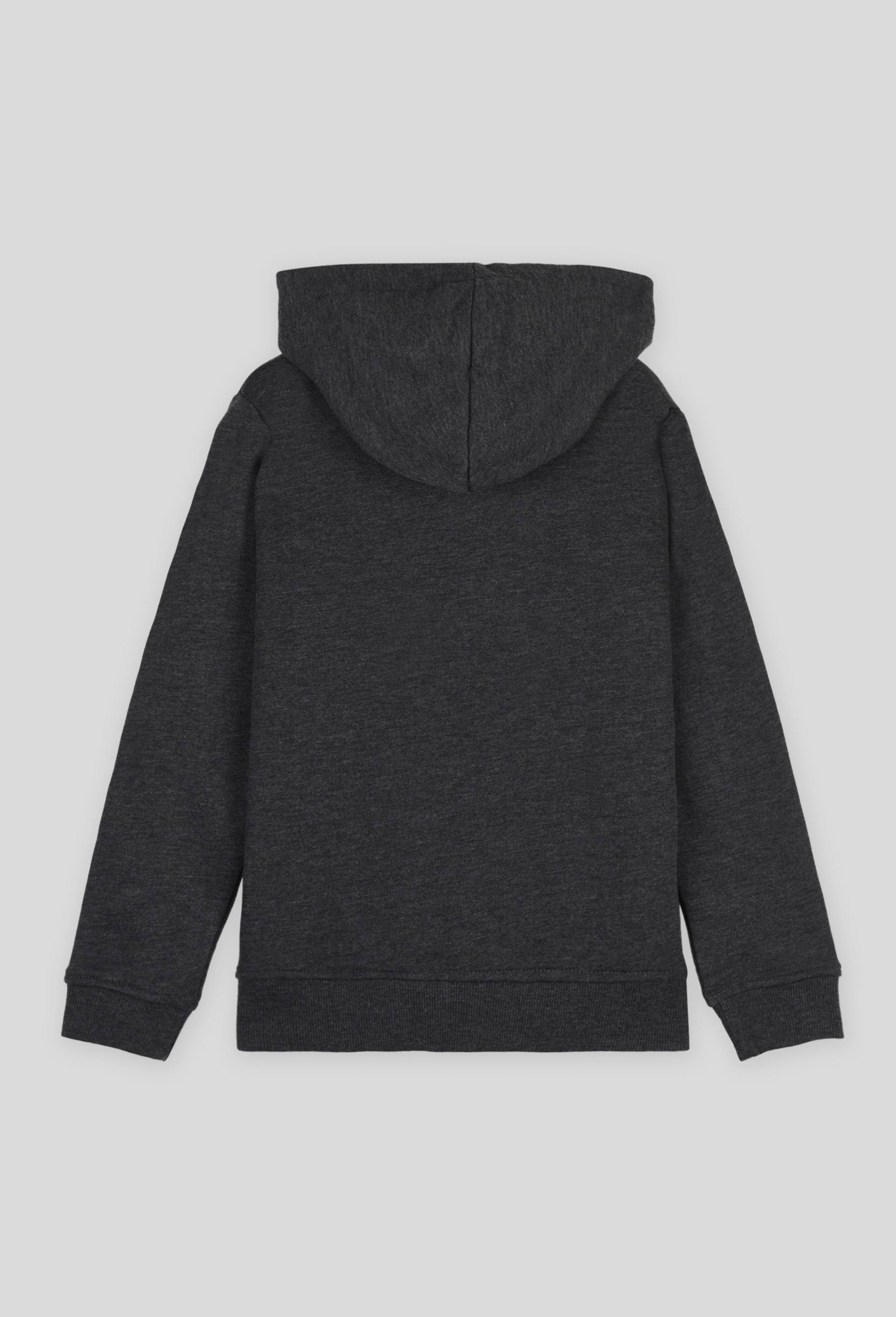 Sweat zippé à capuche uni en coton BIO, Gris, large image number 1