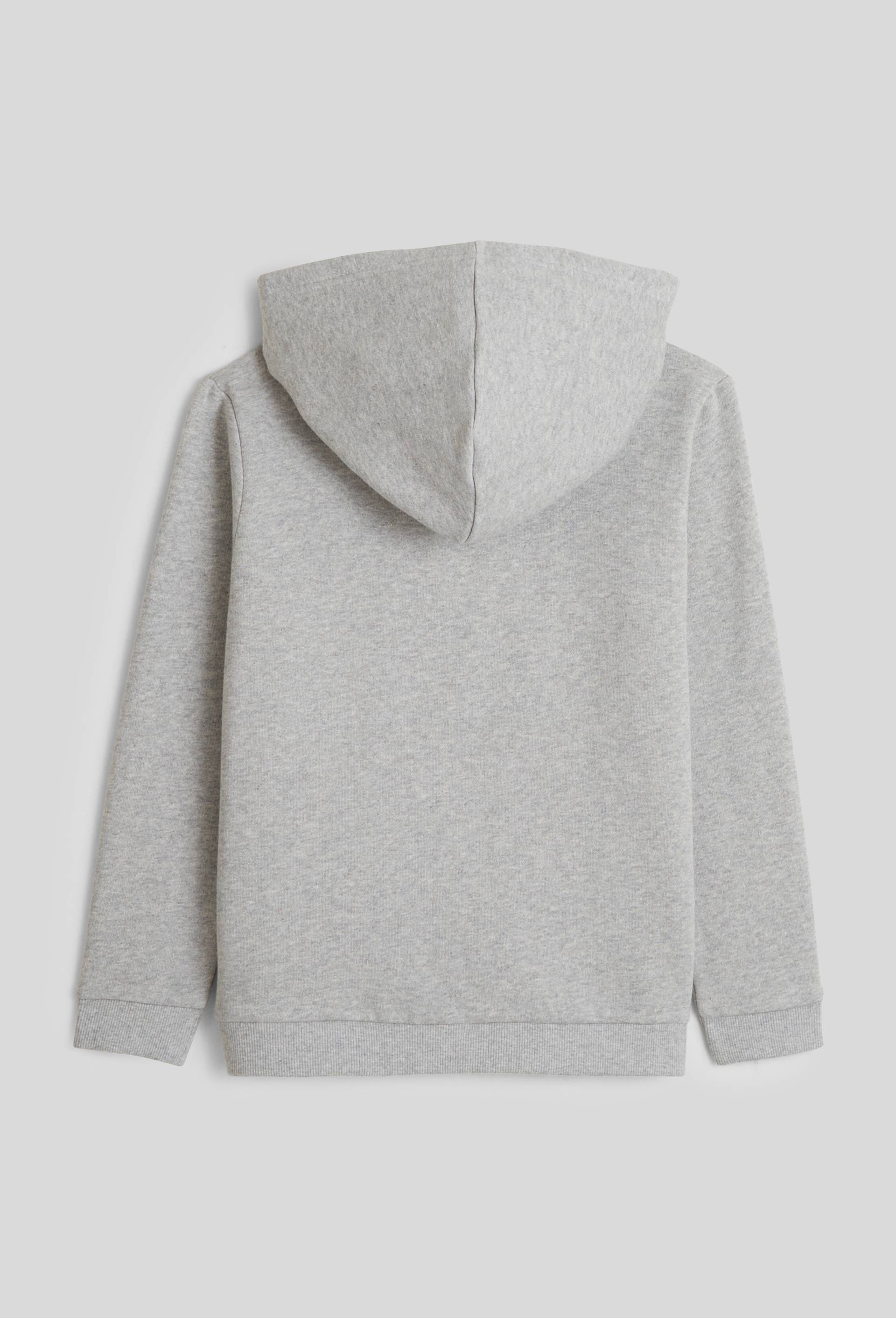 Sweat zipp&eacute; &agrave; capuche uni en coton BIO, Gris, large image number 1