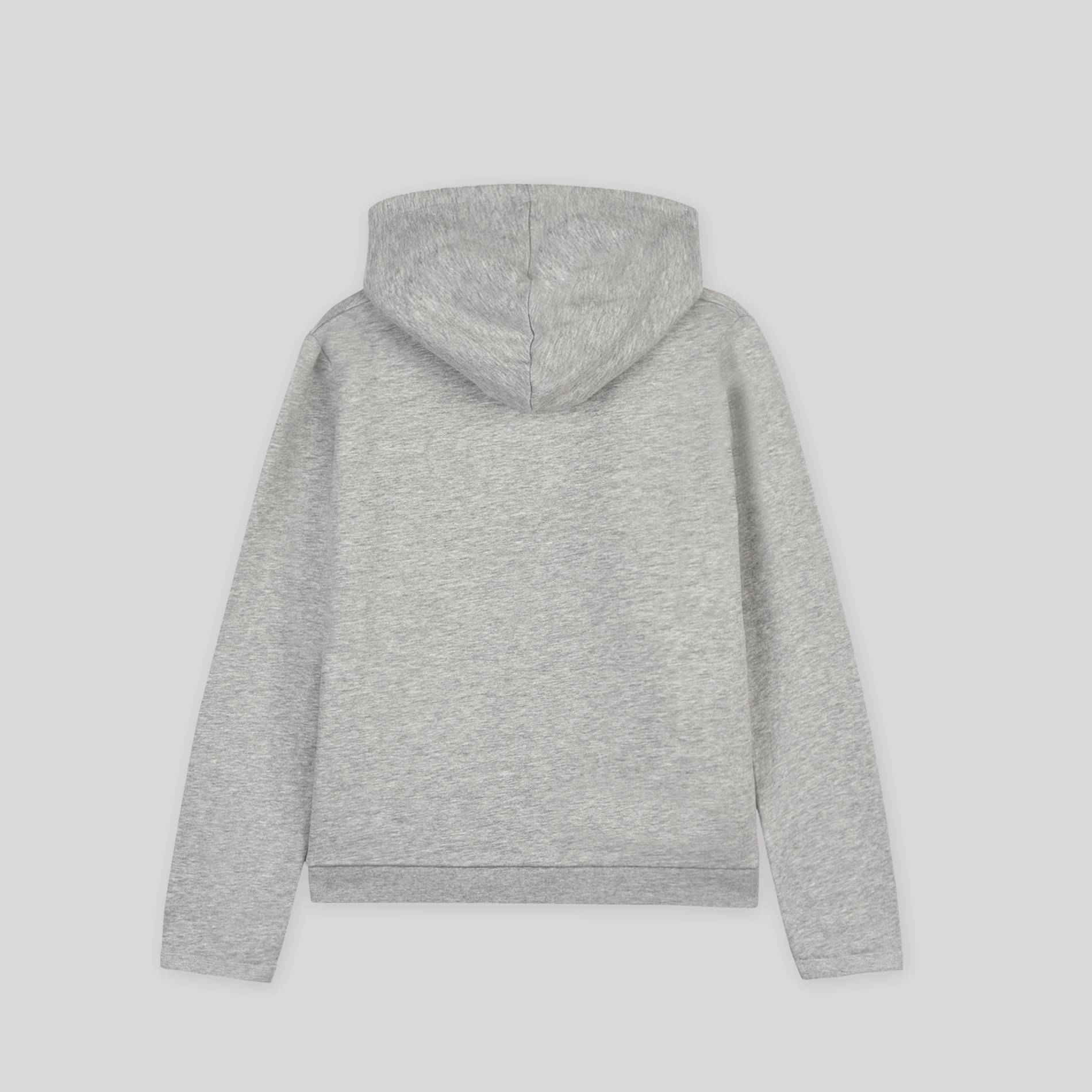 Sweat zippé jogging à capuche, Gris clair, large image number 1.0