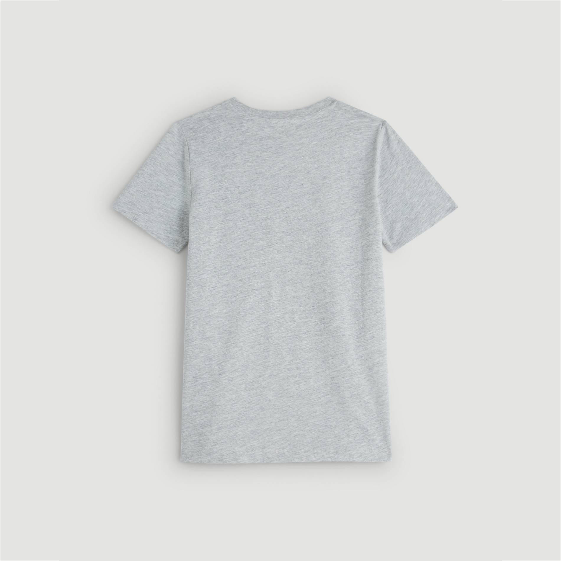 T-shirt imprime en coton BIO, Gris clair, large image number 2.0