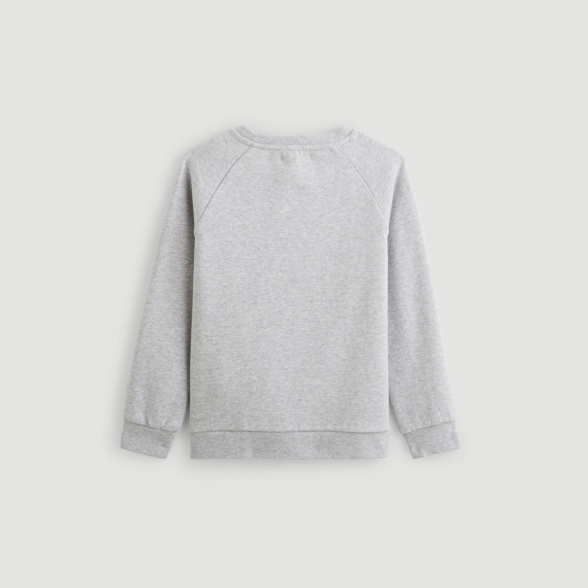Sweat imprime, Gris clair, large image number 1.0