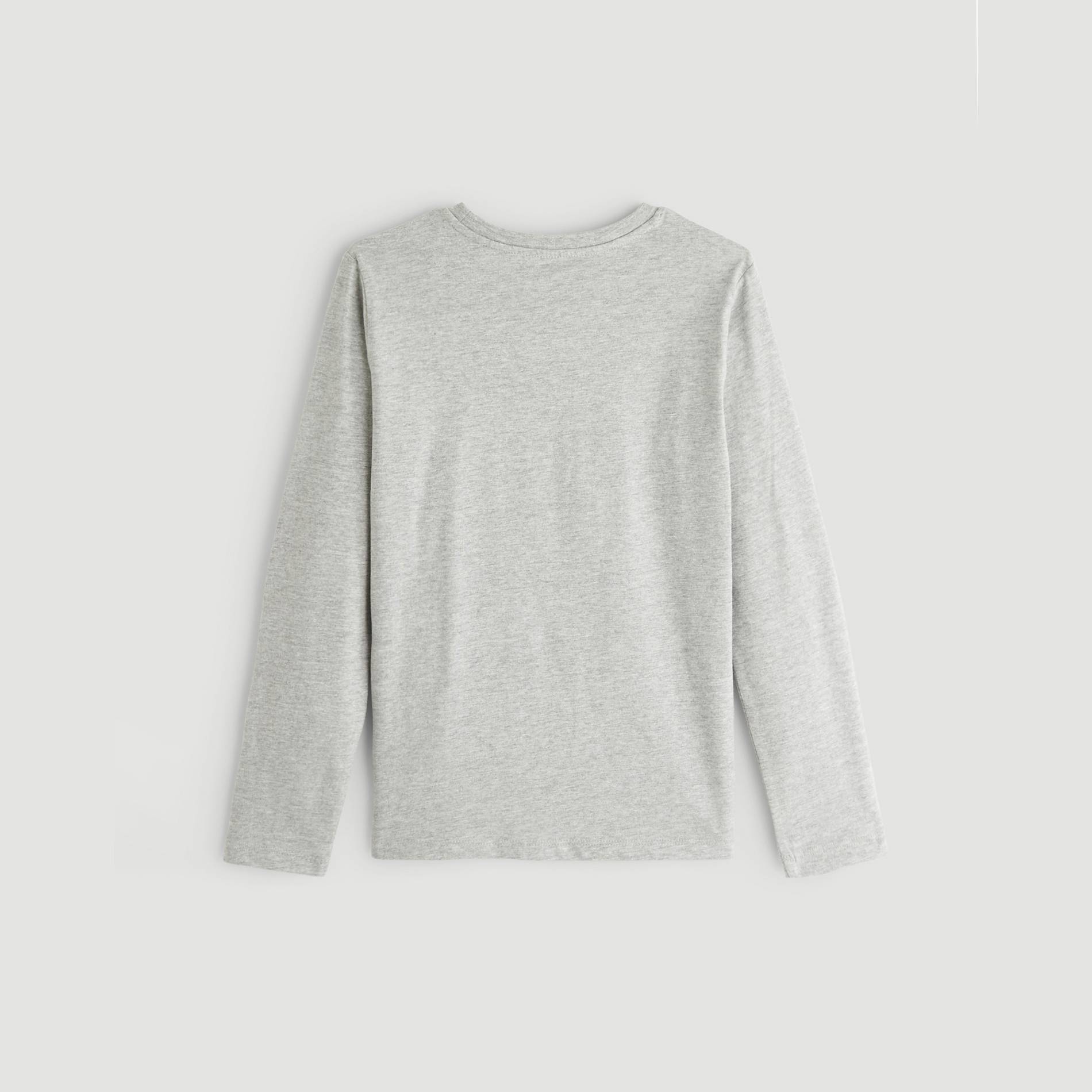 T-shirt manches longues imprime, Gris clair, large image number 2