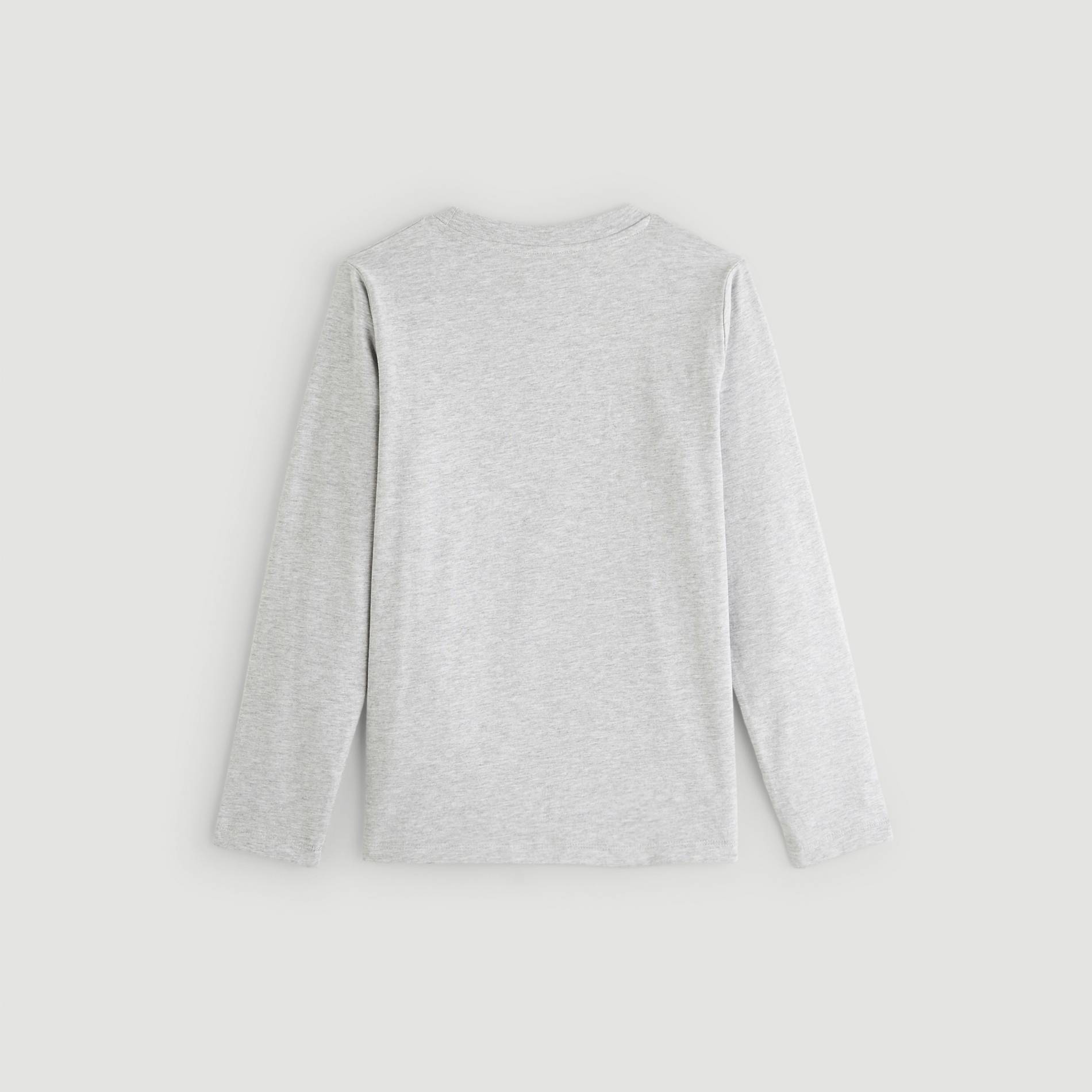 T-shirt manches longues imprime, Gris clair, large image number 2.0