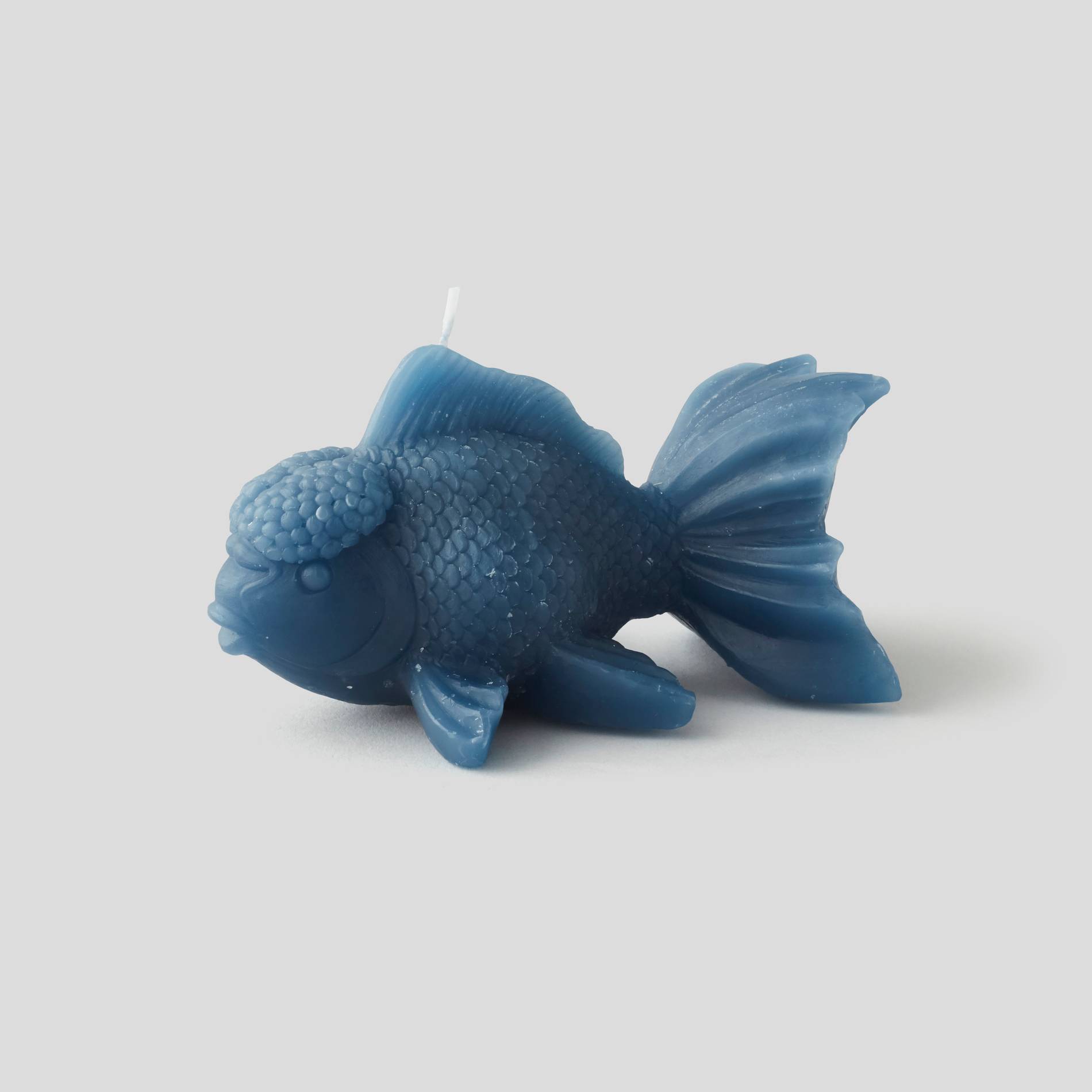 Bougie poisson, Indigo, large image number 0
