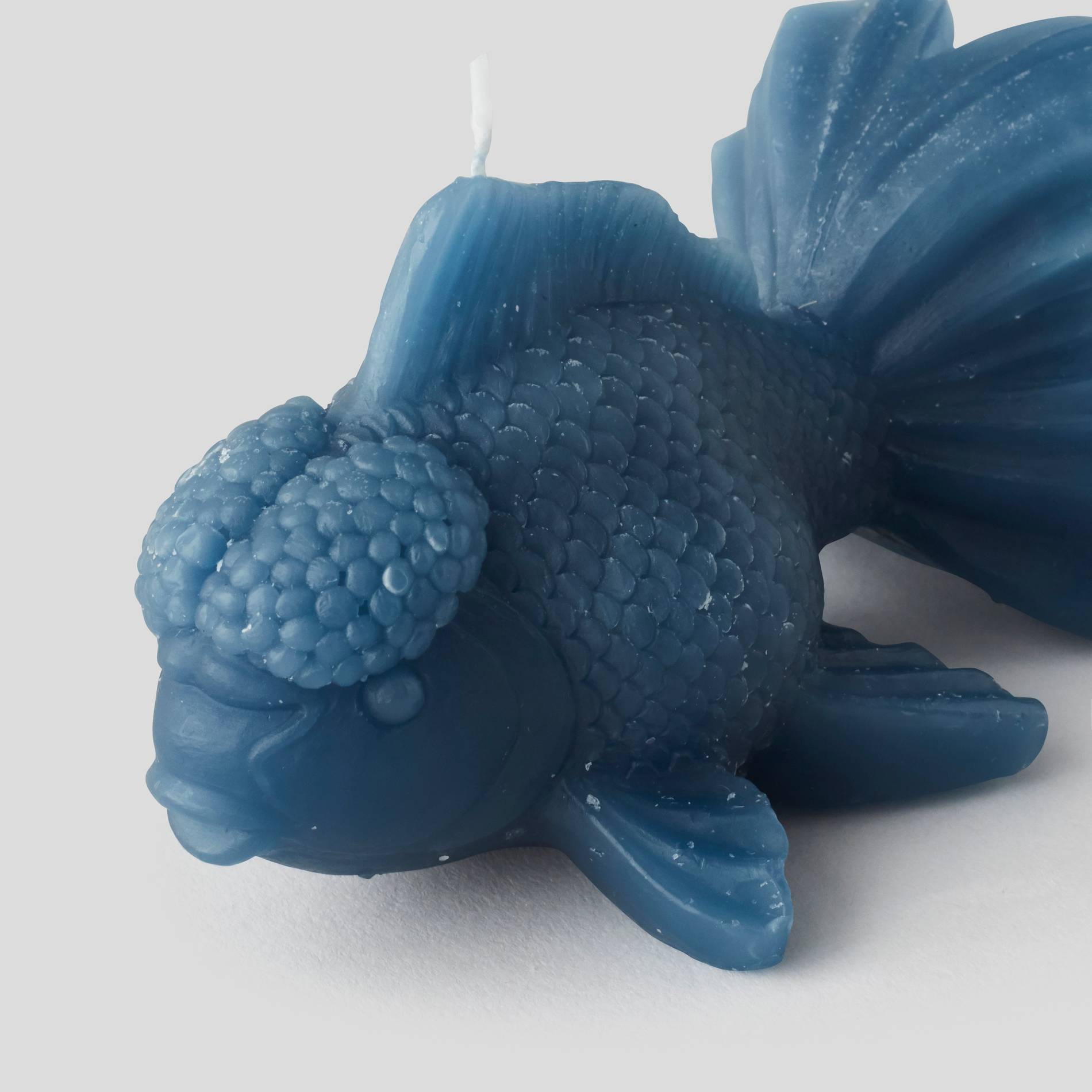 Bougie poisson, Indigo, large image number 1
