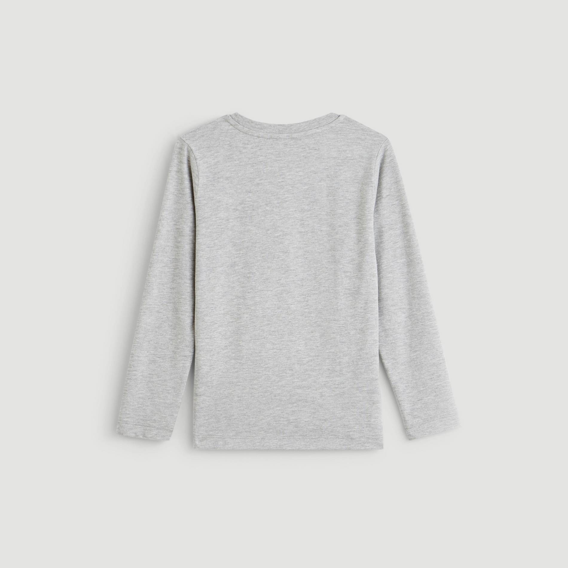 T-shirt a manches longues imprime, Gris clair, large image number 1.0