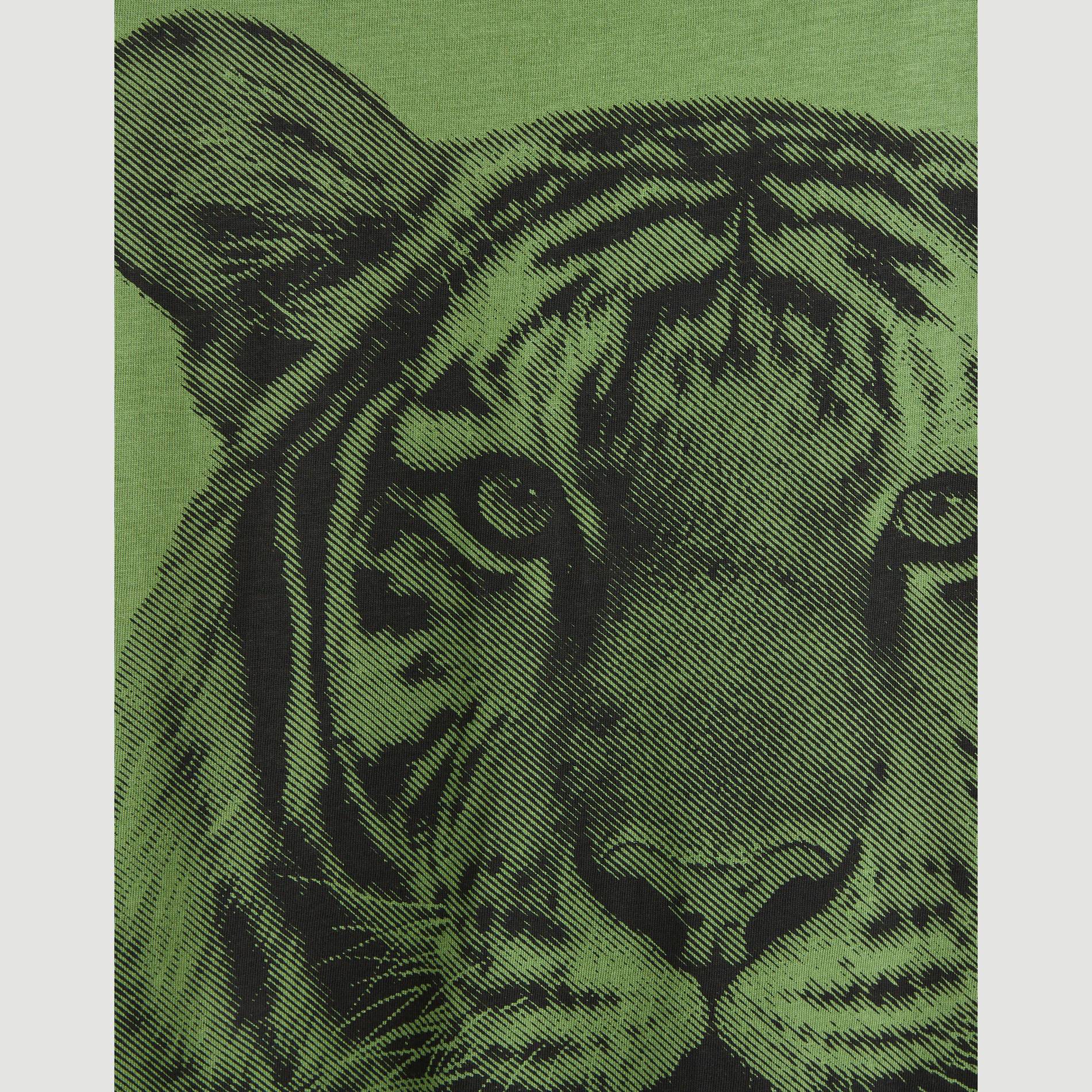 T-shirt manches courtes imprimé en coton BIO, Vert, large image number 2.0