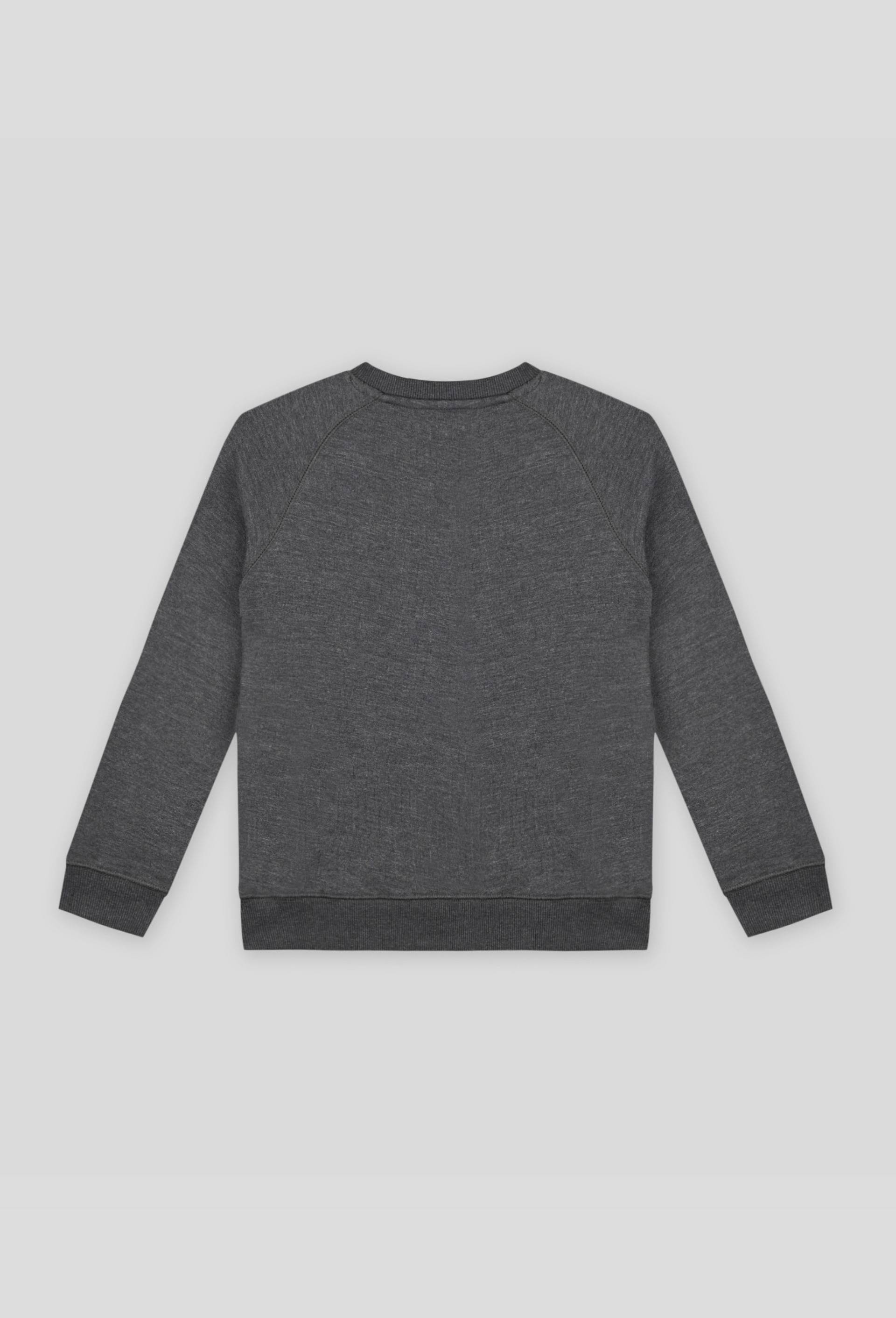 Sweat brodé en coton BIO, Gris foncé, large image number 1.0