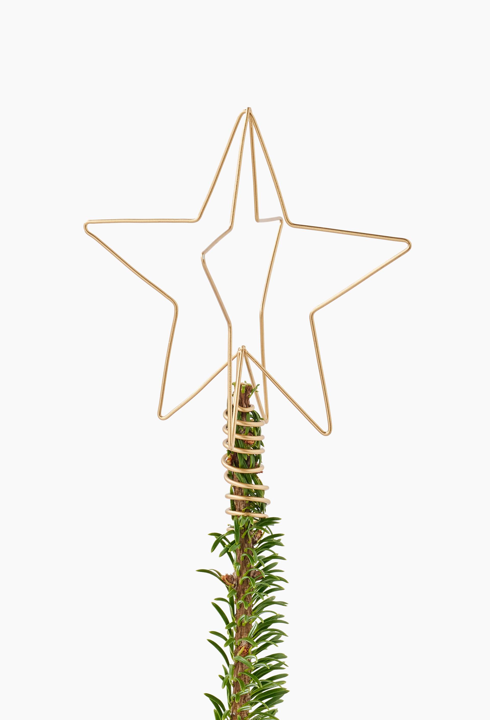 Ornement cimier étoile, 16*16*18,7CM, en métal filaire doré, Or, large image number 0