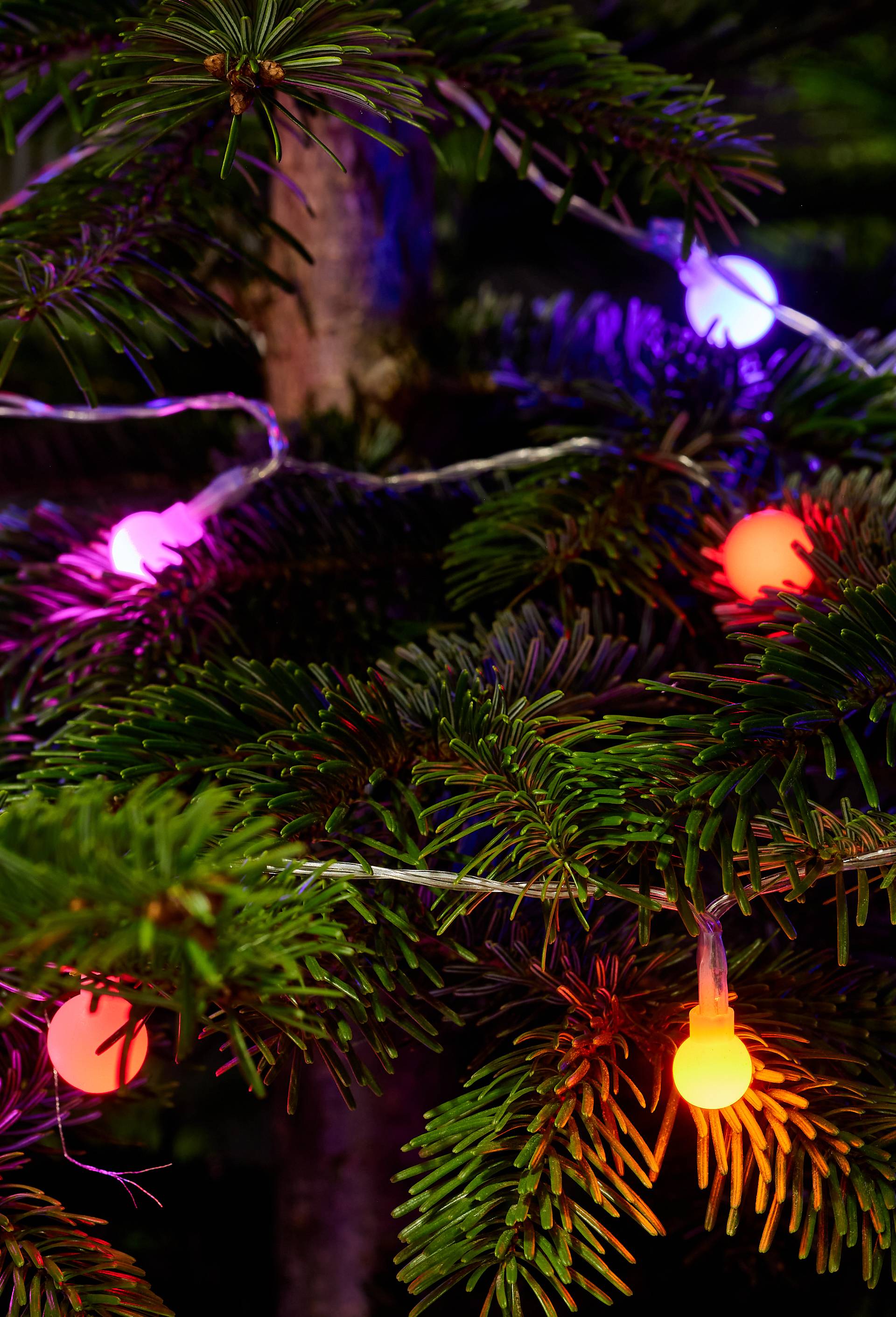Guirlande, 390cm, 40 lampes perles LED, Multicolore, large image number 1