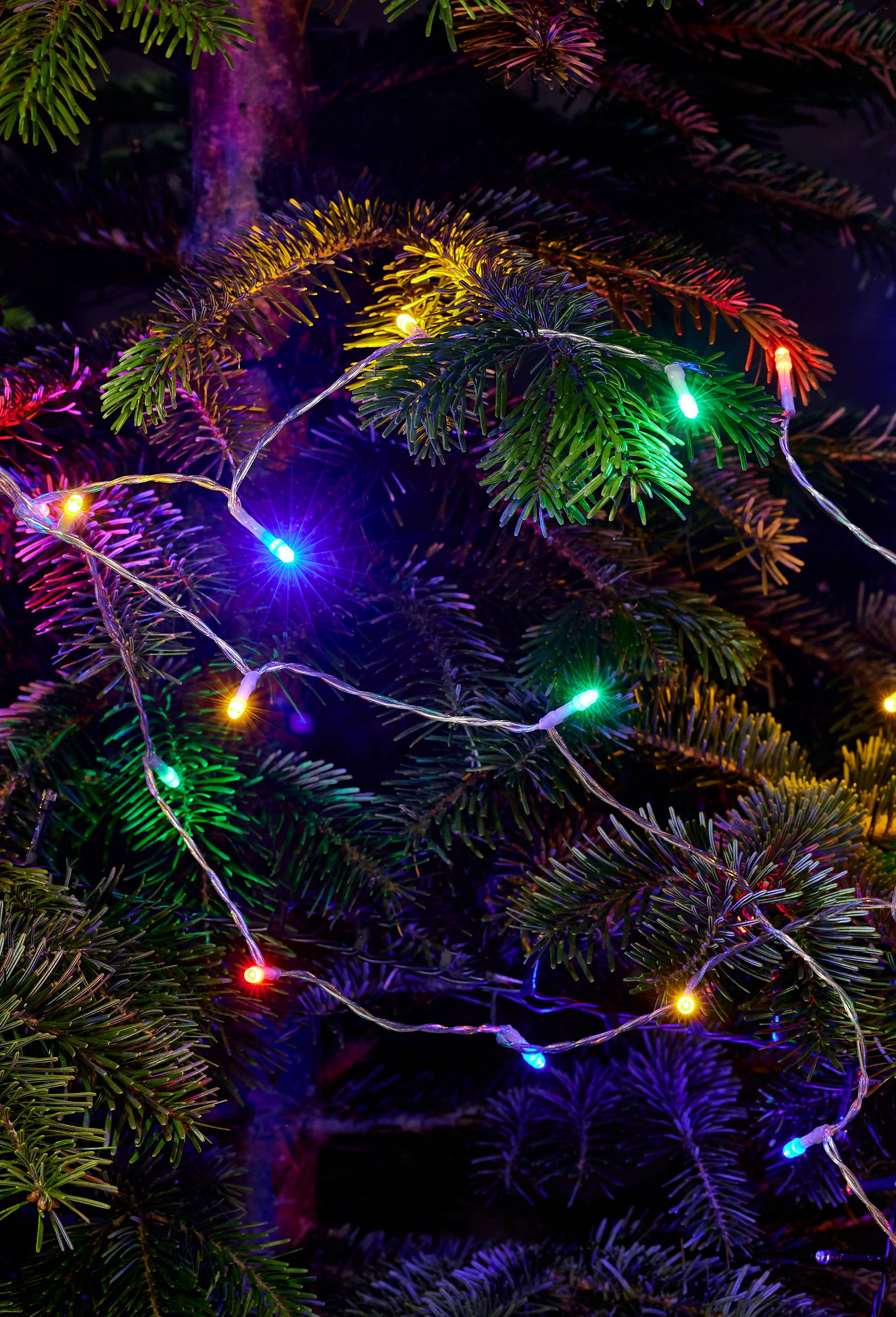 Guirlande, 790cm, 80 lampes LED, Blanc, large image number 1