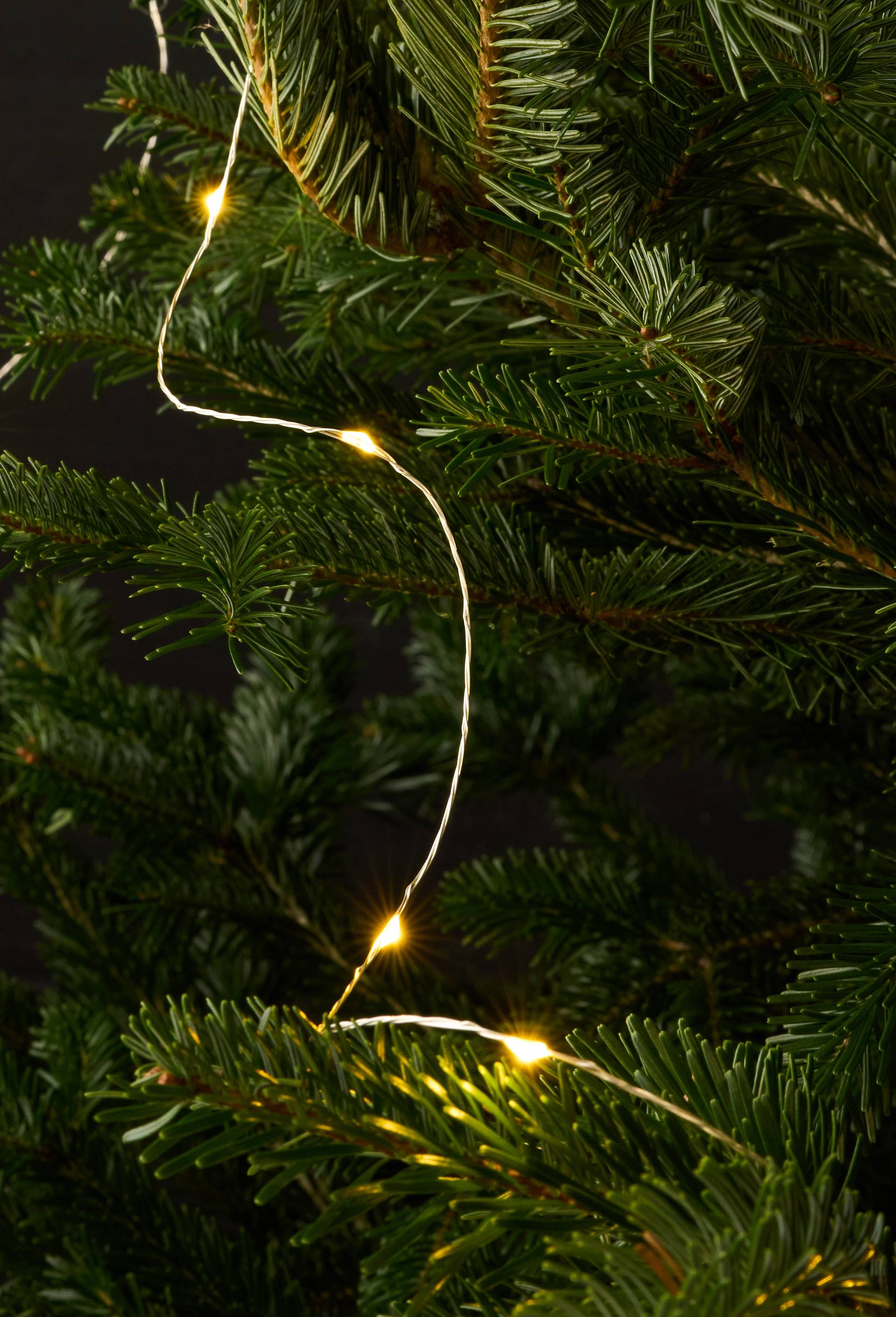 Guirlande micro LED, 12m, Blanc, large image number 0.0