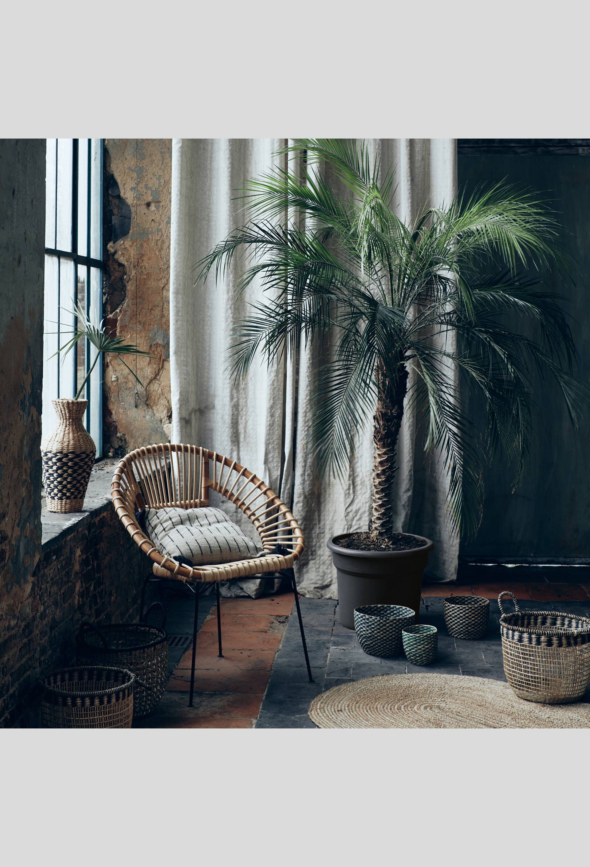 Panier, Ecru, large image number 2
