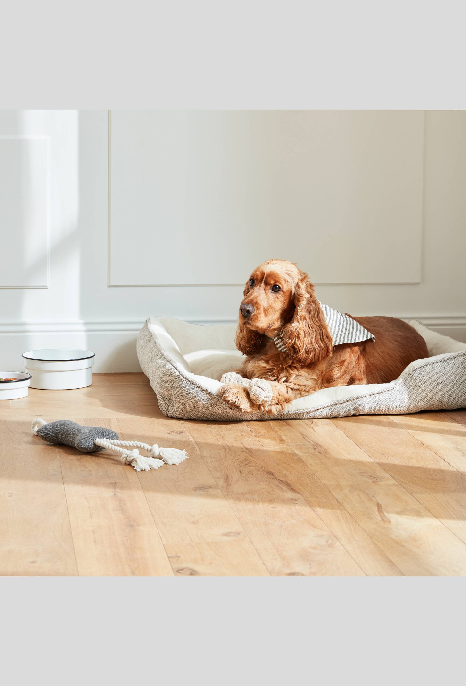 Panier pour chien, 75x59cm, en polyester et coton, Gris fonc&eacute;, large image number 2