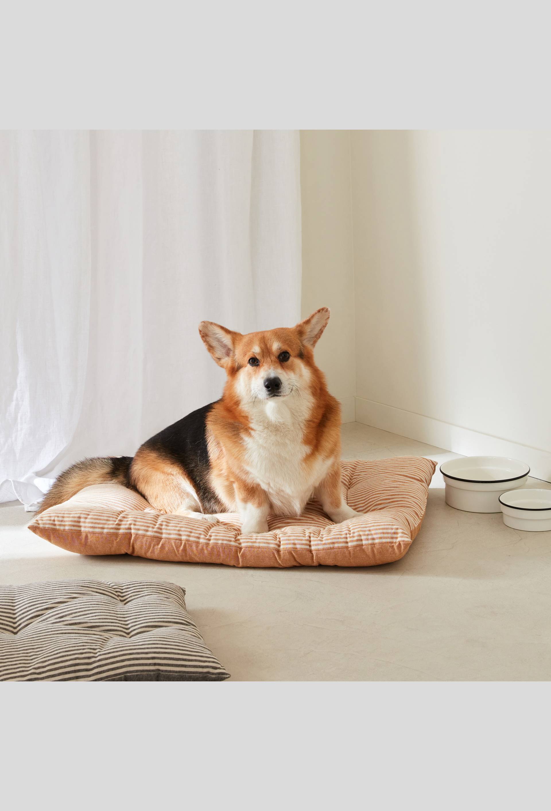 Coussin pour chien, 45x70cm, en coton et polyester, Noir, large image number 2.0