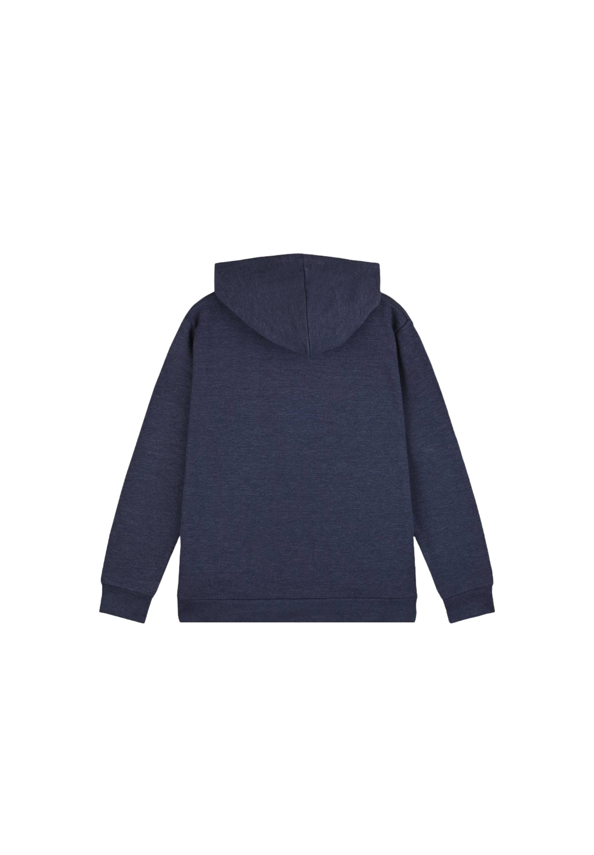 Sweat à capuche imprimé en coton BIO, Bleu foncé, large image number 4