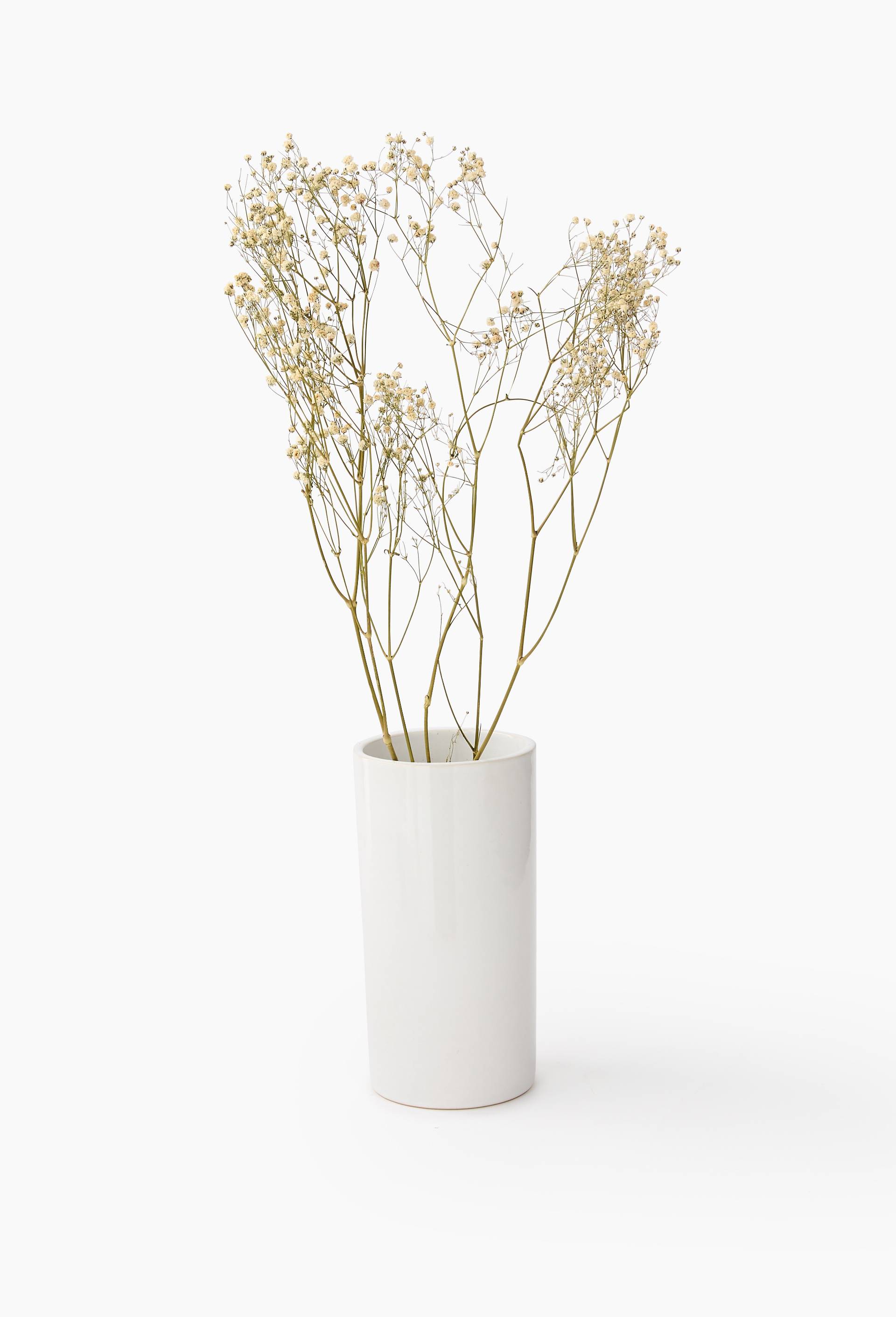 Gypsophile, Blanc, large image number 0
