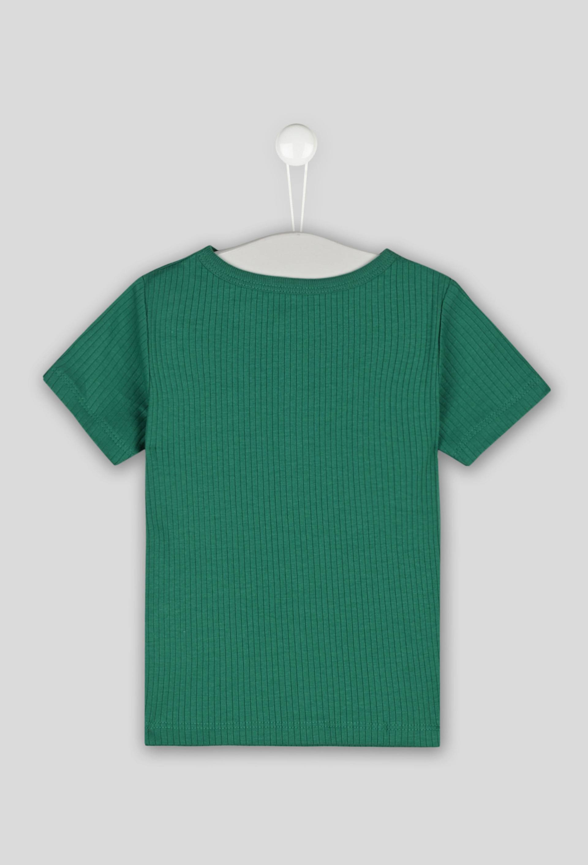 T-shirt manches courtes uni en coton BIO, Vert, large image number 1