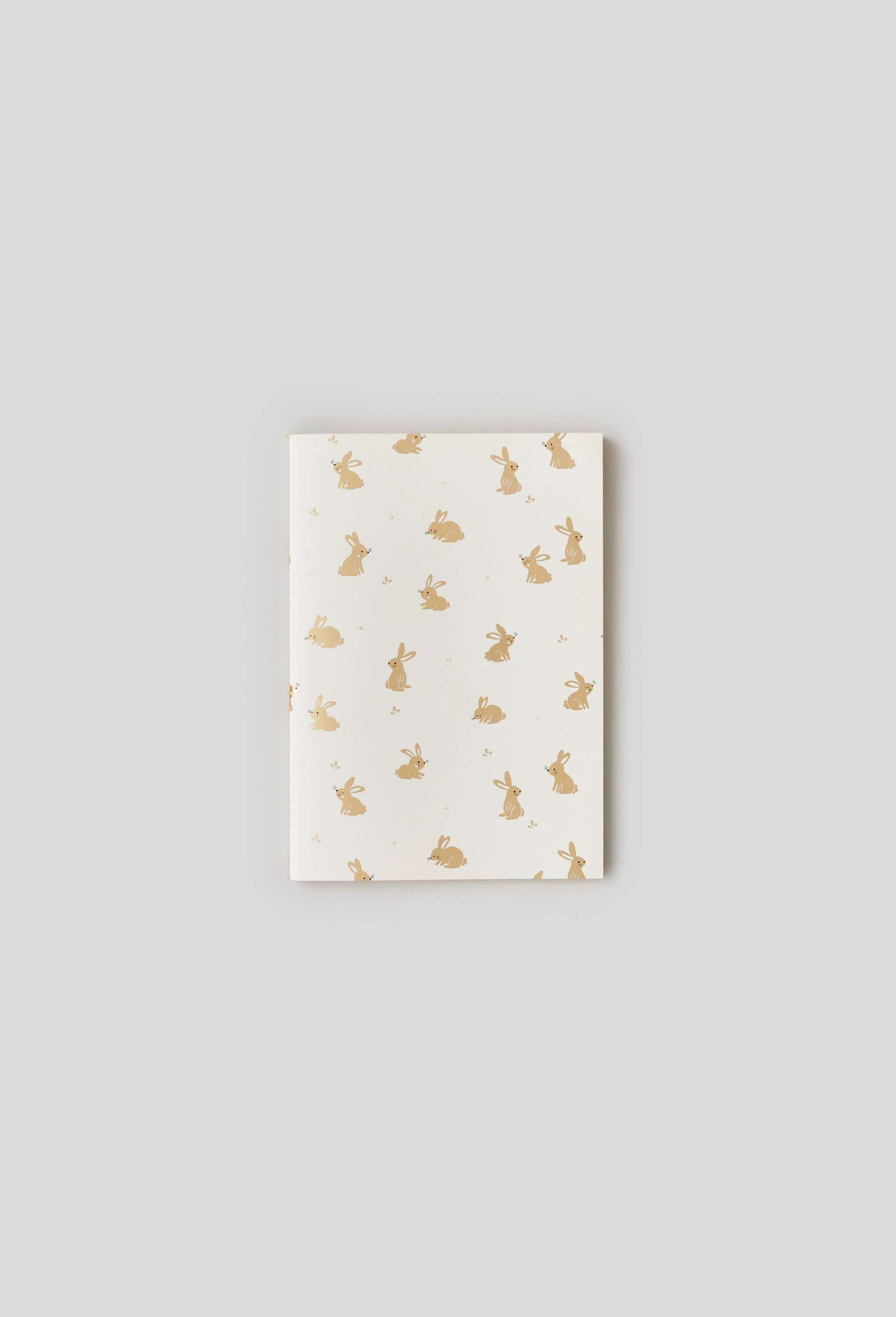 Carnet de notes format A5, 48 pages, Brun clair, large image number 0