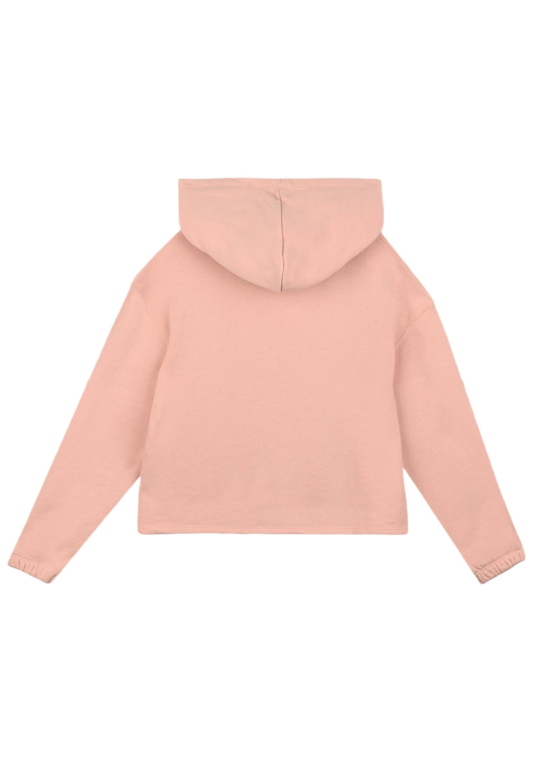Sweat à capuche brodé, Rose clair, large image number 4