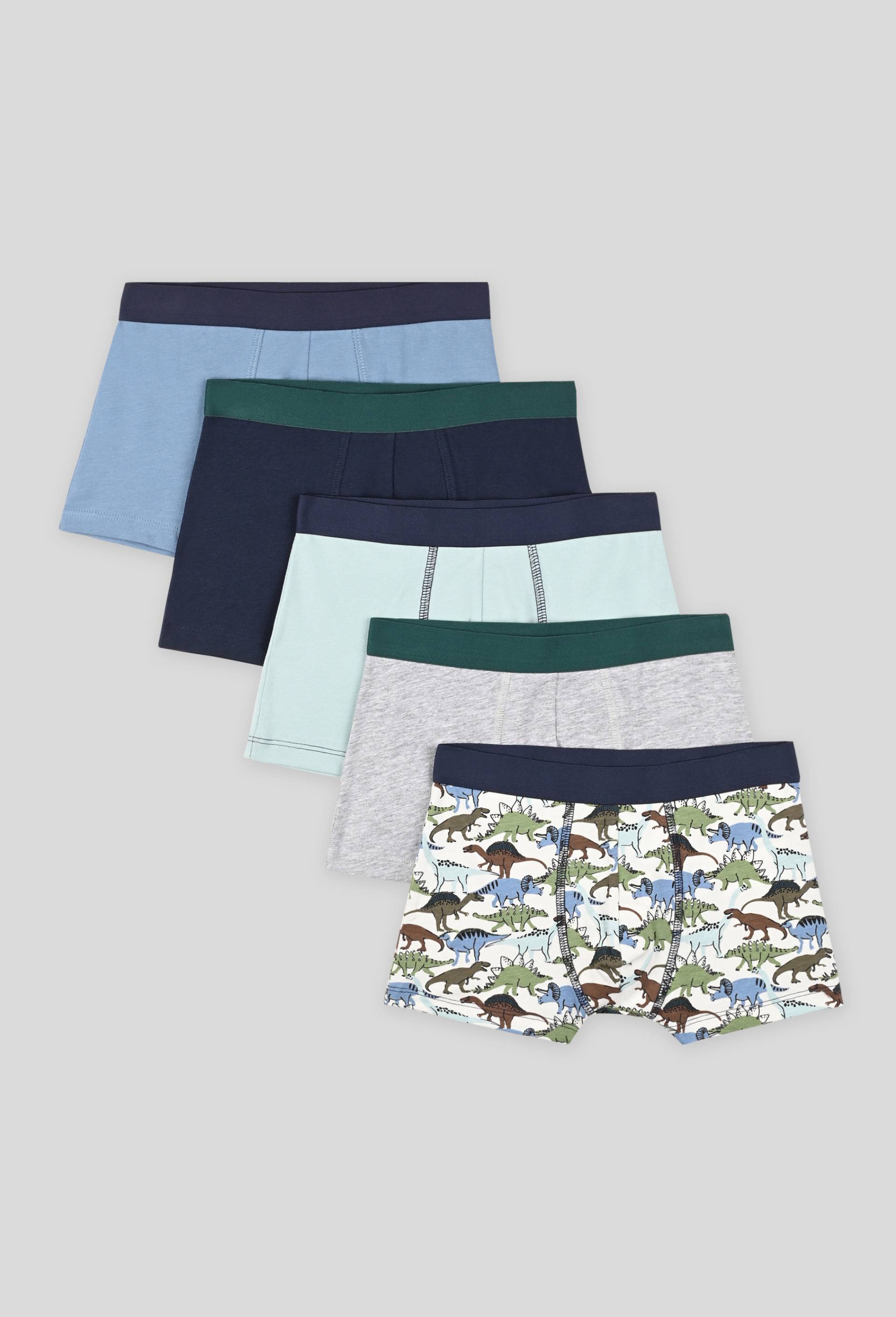 Lot de 5 boxers imprimés et unis, Ecru, large image number 0