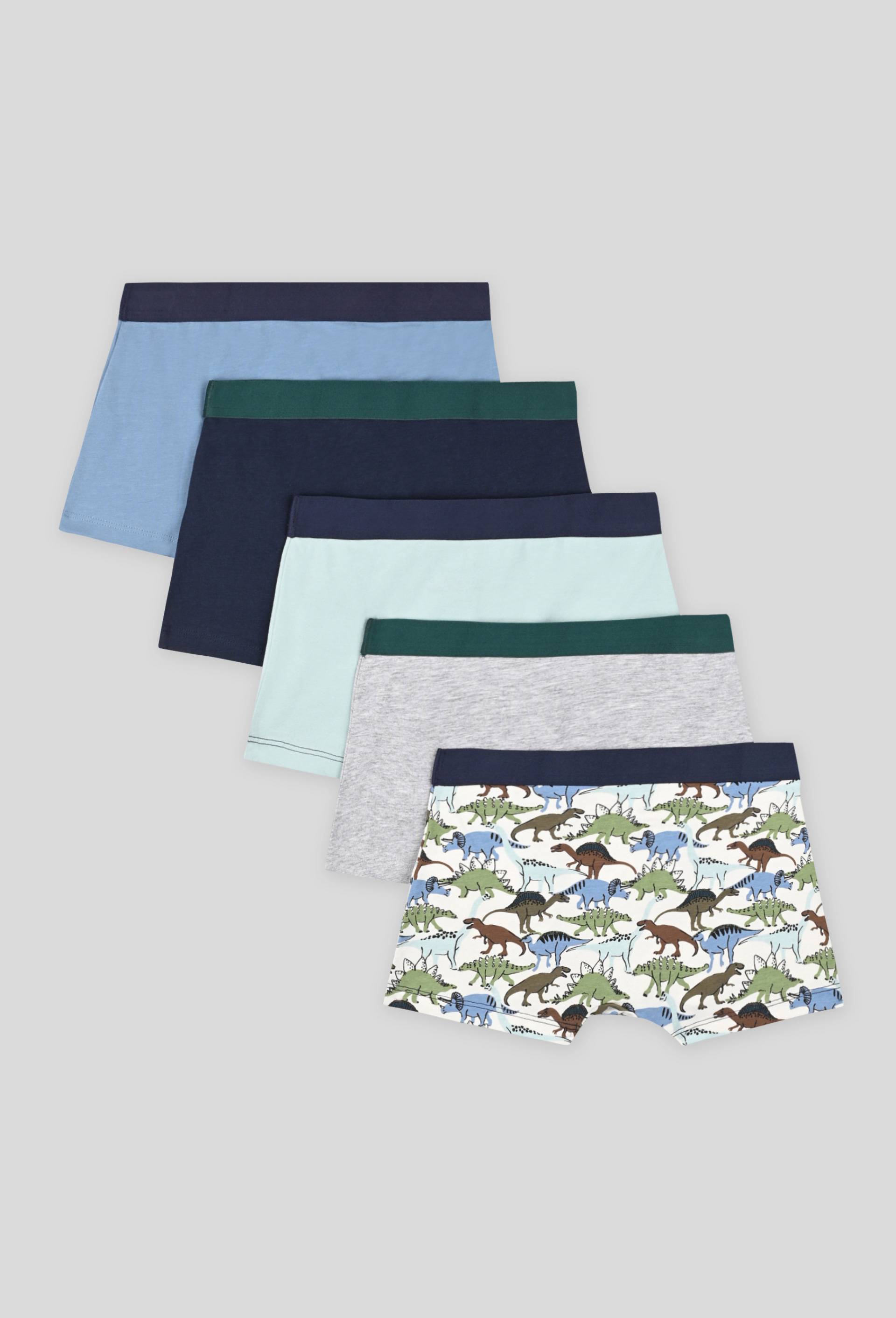 Lot de 5 boxers imprimés et unis, Ecru, large image number 1