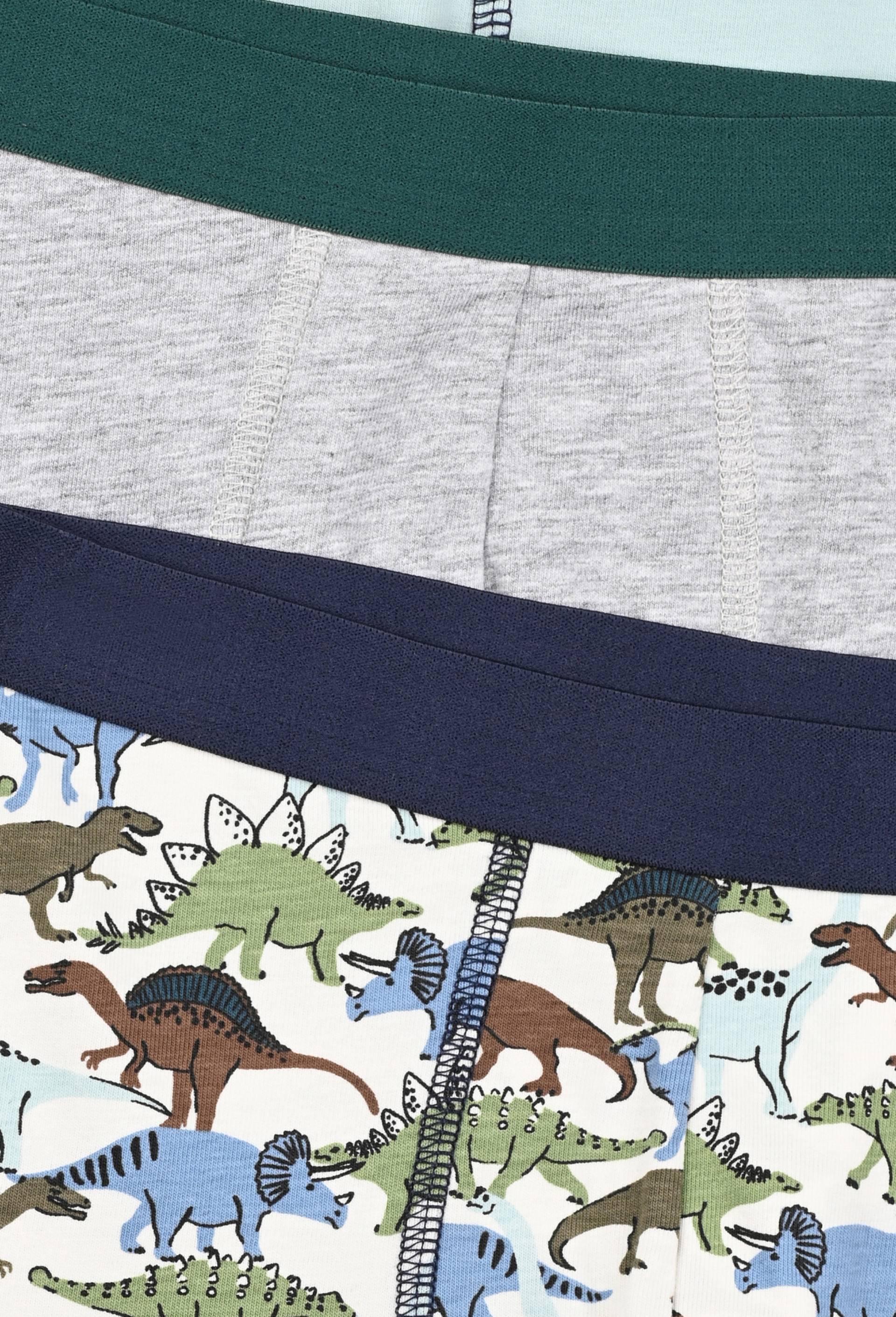 Lot de 5 boxers imprimés et unis, Ecru, large image number 2