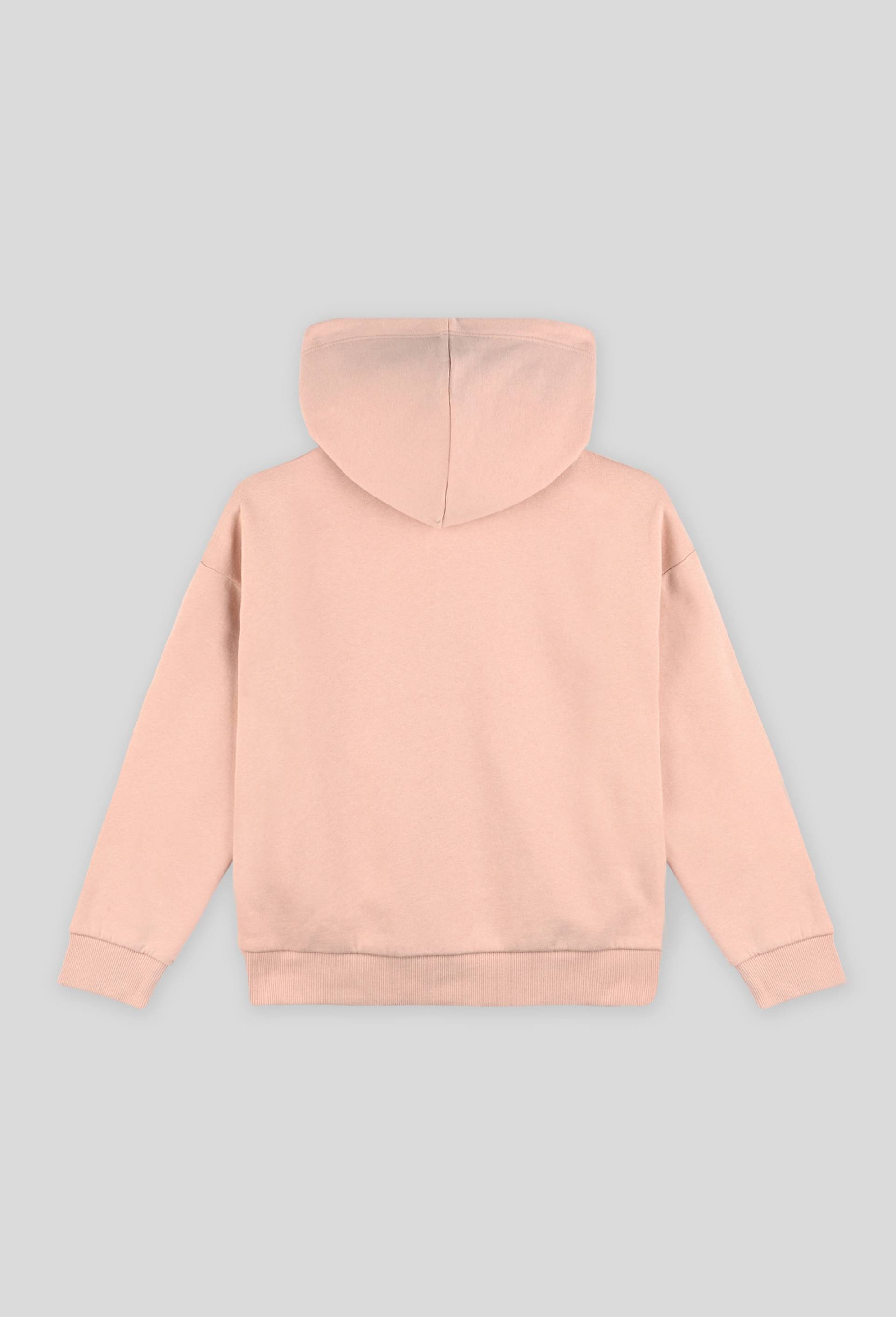 Sweat zippé à capuche contenant du coton BIO, certifié OEKO-TEX, Rose clair, large image number 1