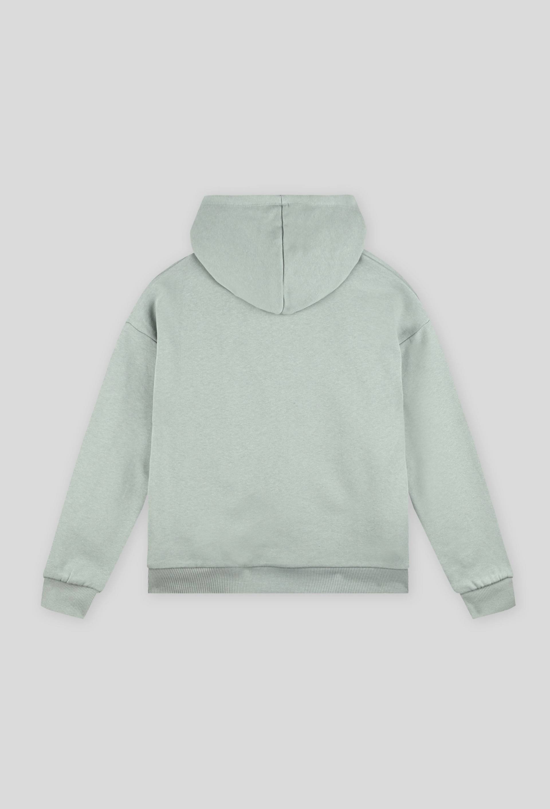 Sweat zippé à capuche contenant du coton BIO, certifié OEKO-TEX, BLEU, large image number 1