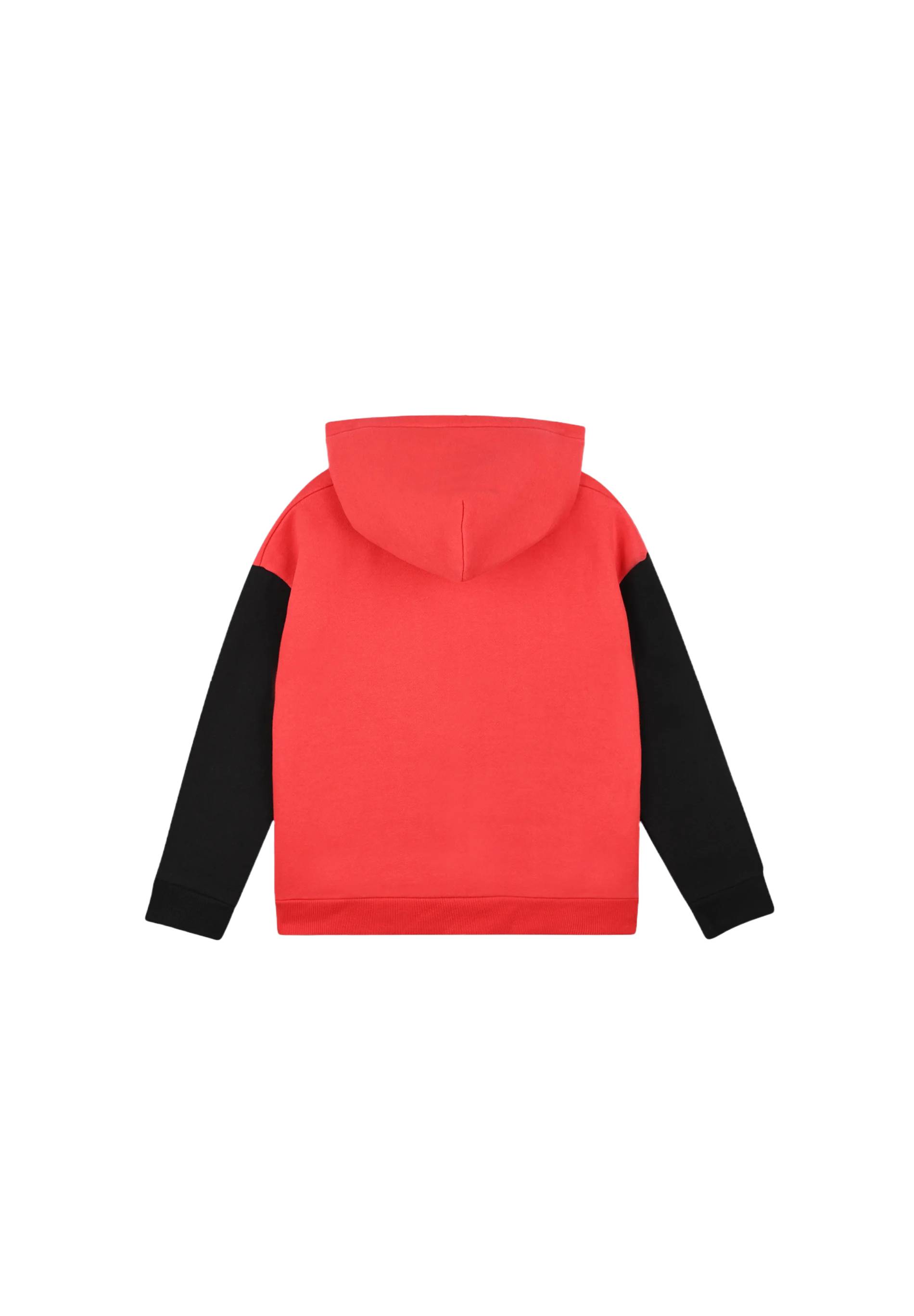 Sweat à capuche imprimé en coton Bio, Rouge, large image number 4
