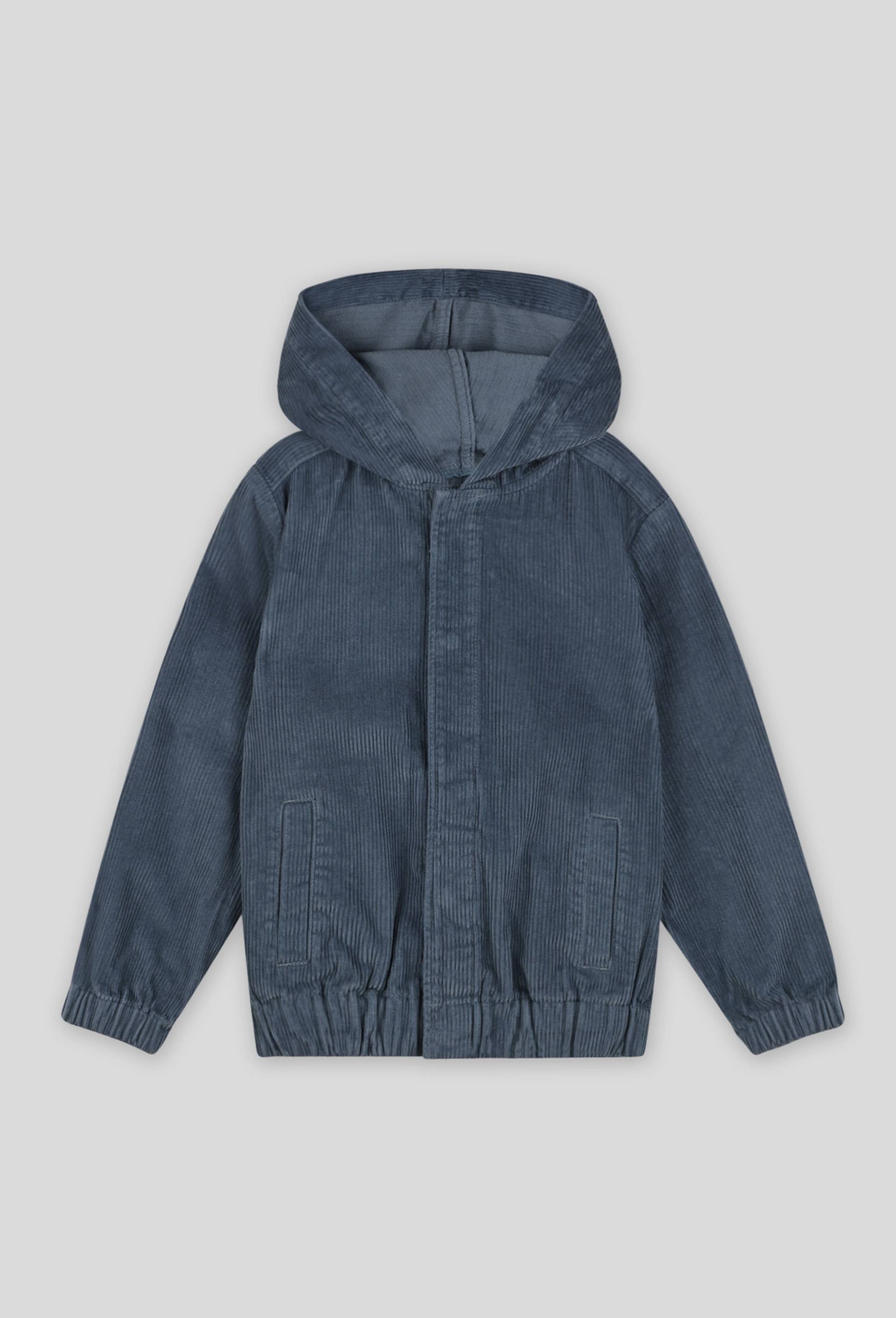 Veste à capuche, Bleu, large image number 0.0