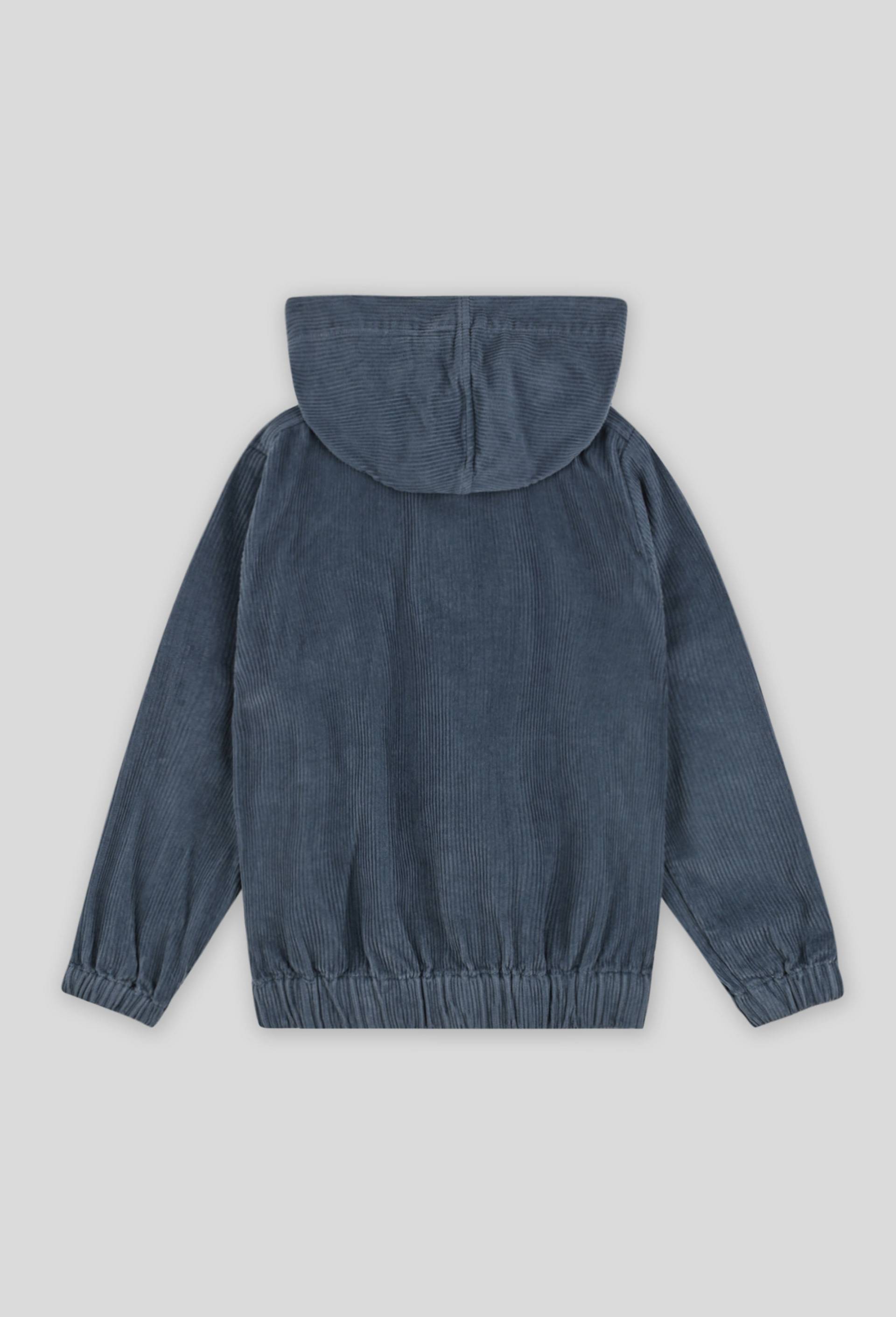 Veste à capuche, Bleu, large image number 1.0