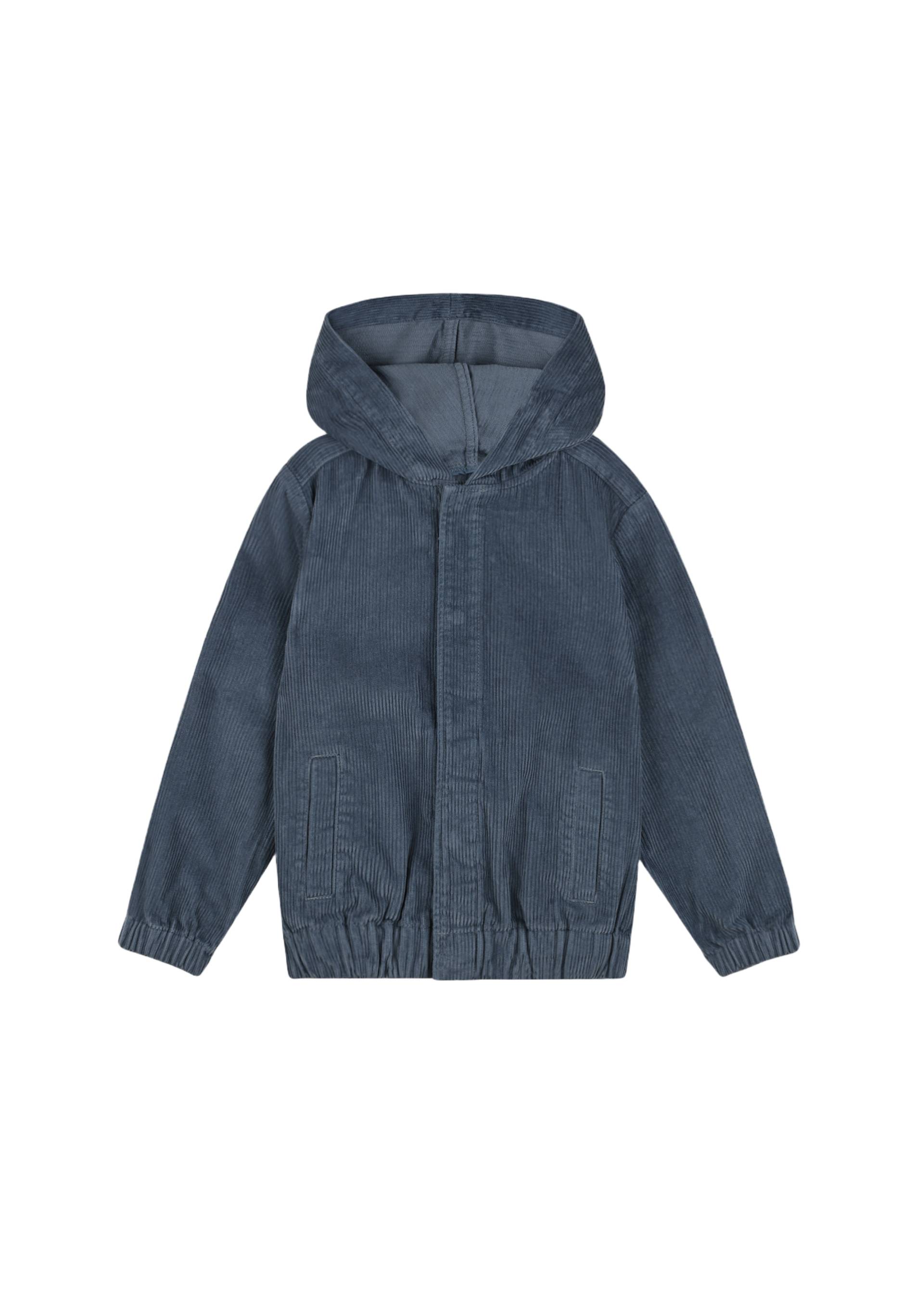 Veste à capuche, Bleu, large image number 3.0
